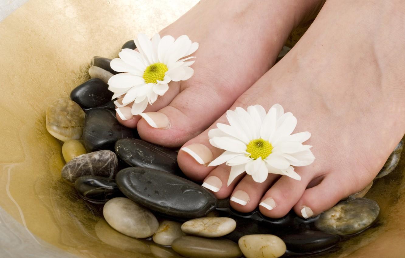 1332x850 Wallpaper flowers, stones, pedicure, Spa image for desktop, section цветы