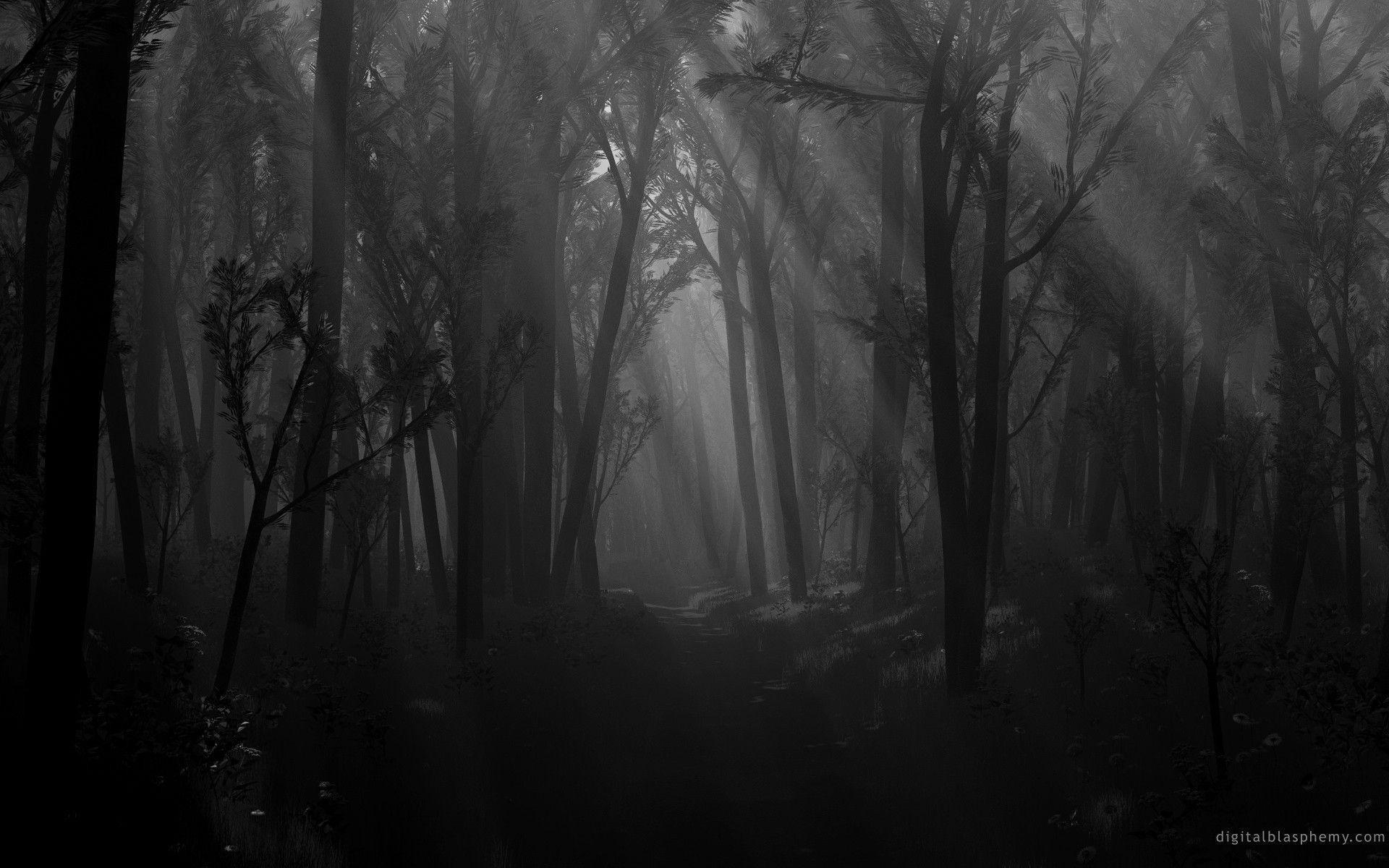 1920x1200 Creepy Forest