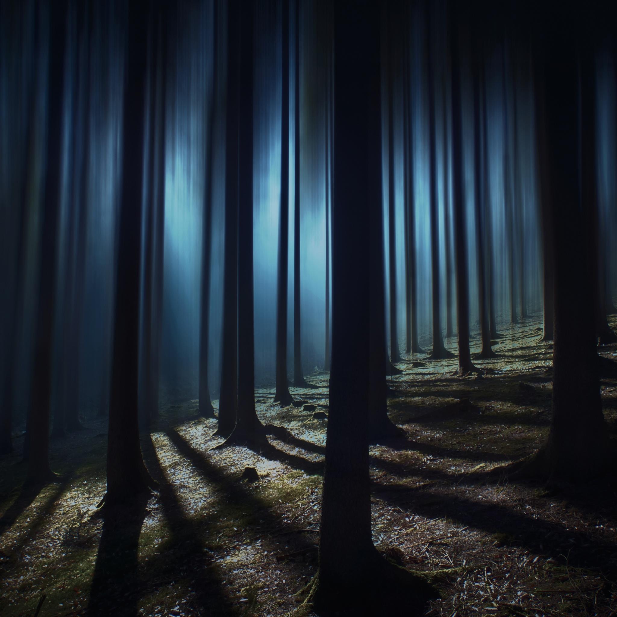 2048x2048 Dark Forest Wallpaper 4K, Woods, Night time, Dark, Nature