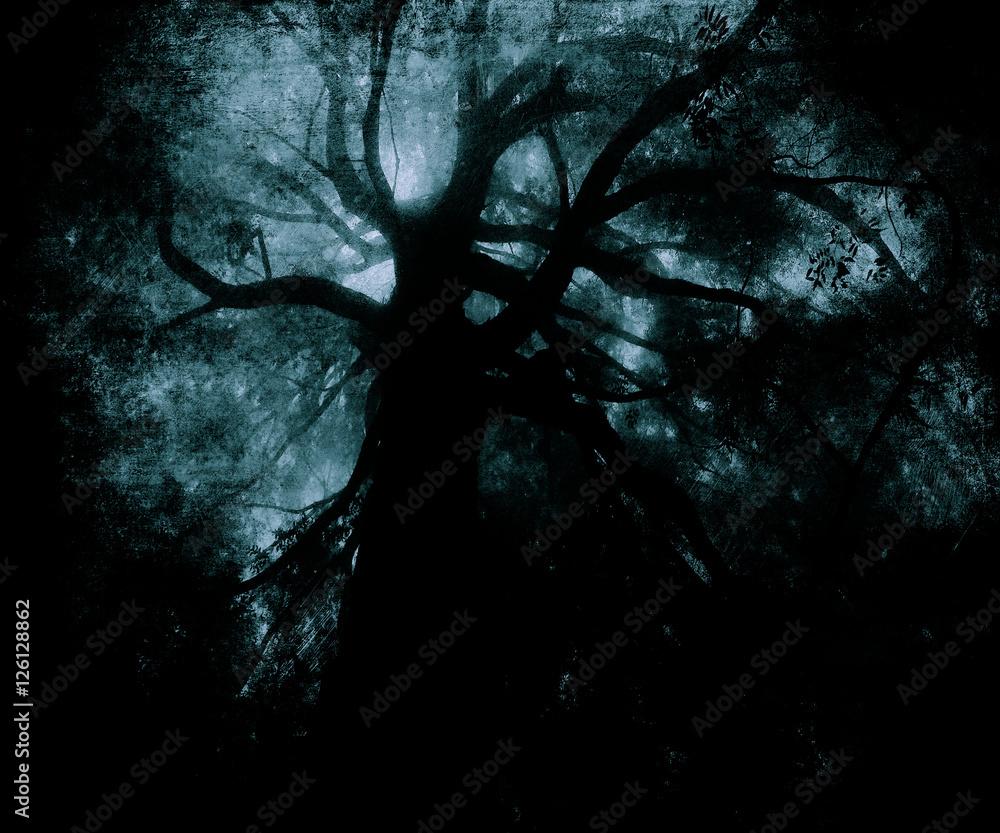 1000x833 Scary forest wallpaper, halloween dark trees, textured grunge background