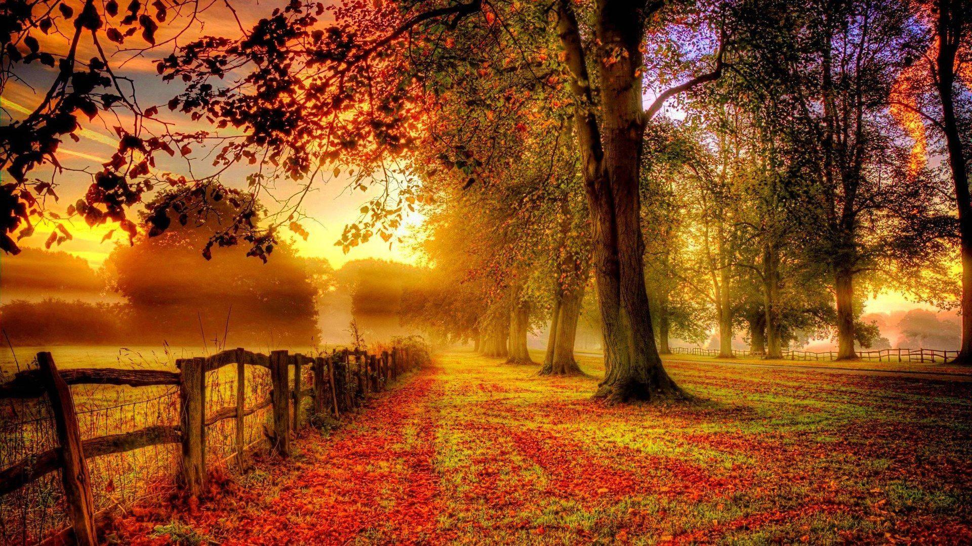1920x1080 Autumn Wallpaper & Background For FREE