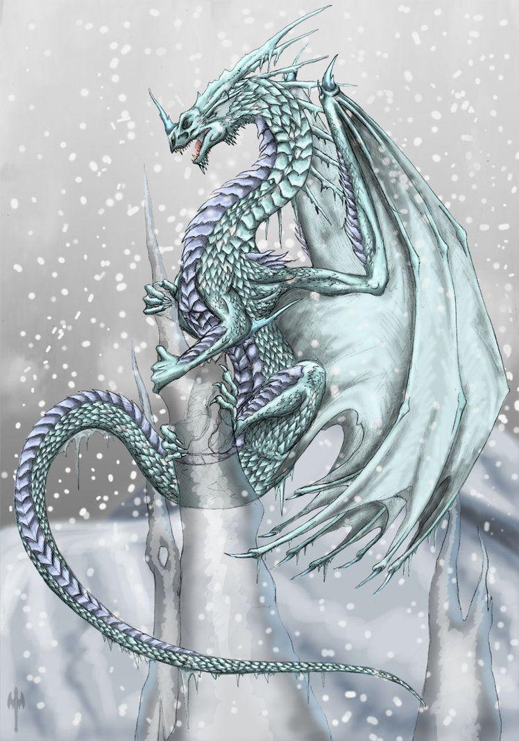 748x1068 Dragon Wallpaper iPhone