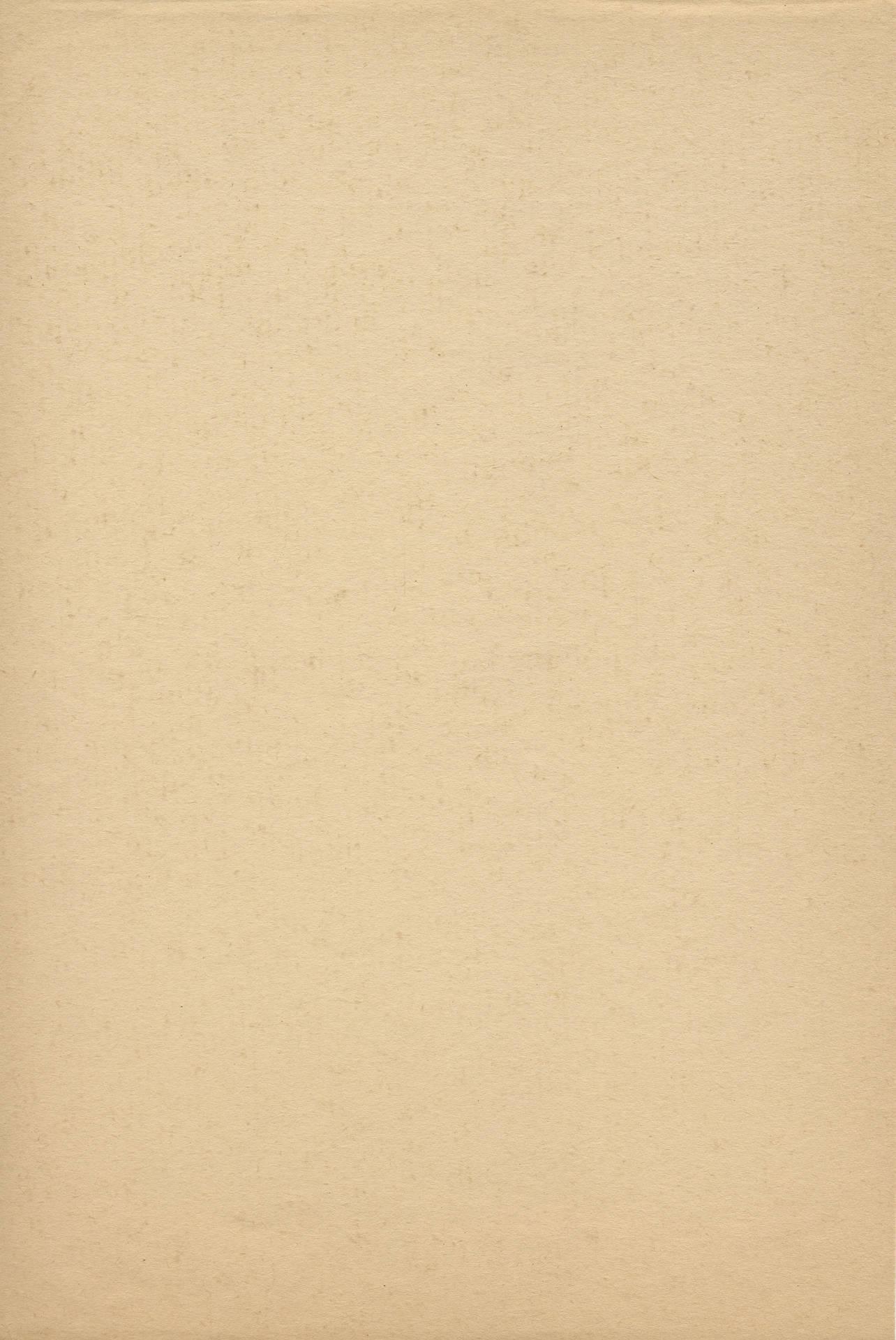 1284x1920 Free Beige Wallpaper Downloads, Beige Wallpaper for FREE