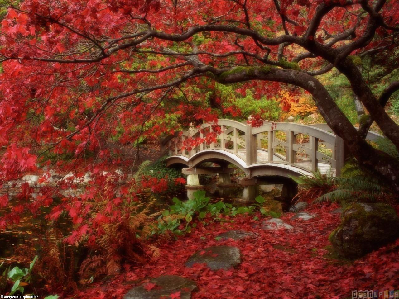 1280x960 Autumn Covered Bridge Wallpaper
