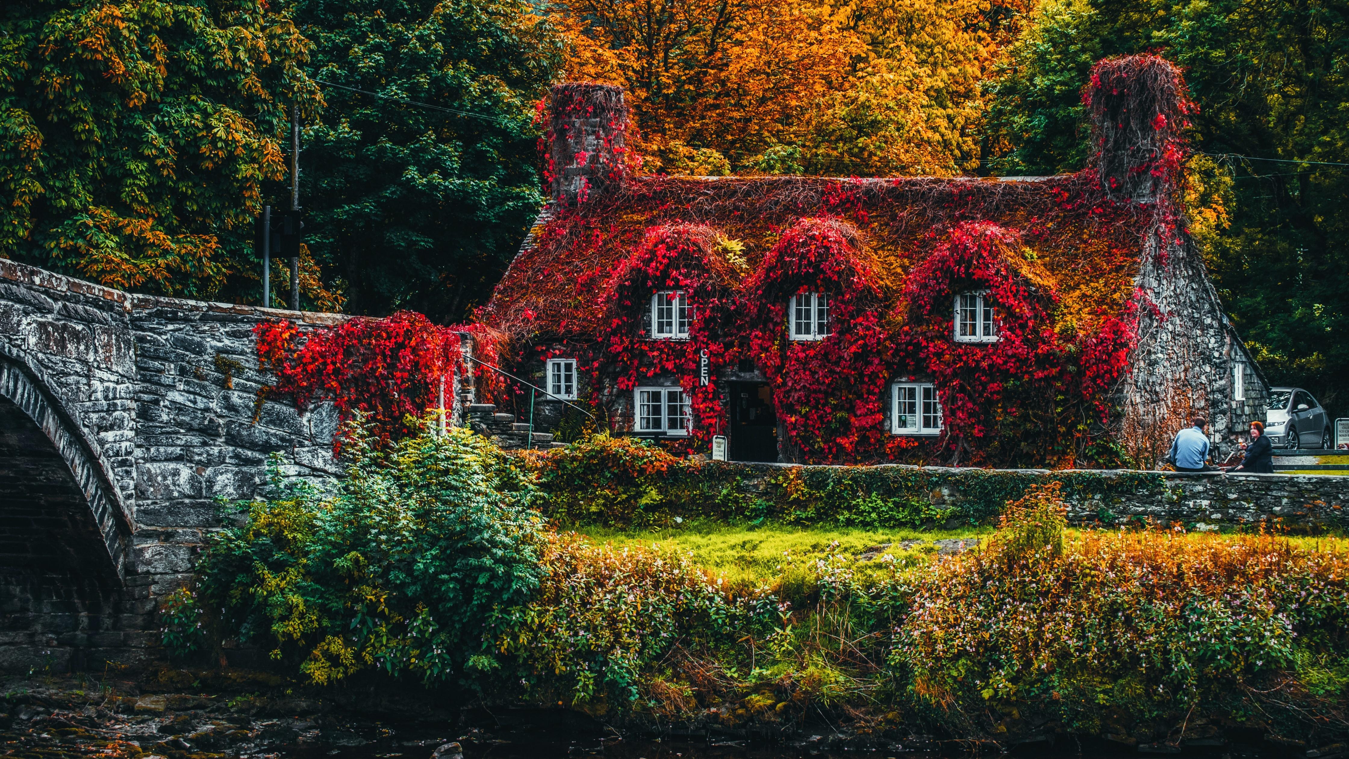 4480x2520 House Covered by Trees Wallpaper 4K, Autumn trees, Bridge, Nature