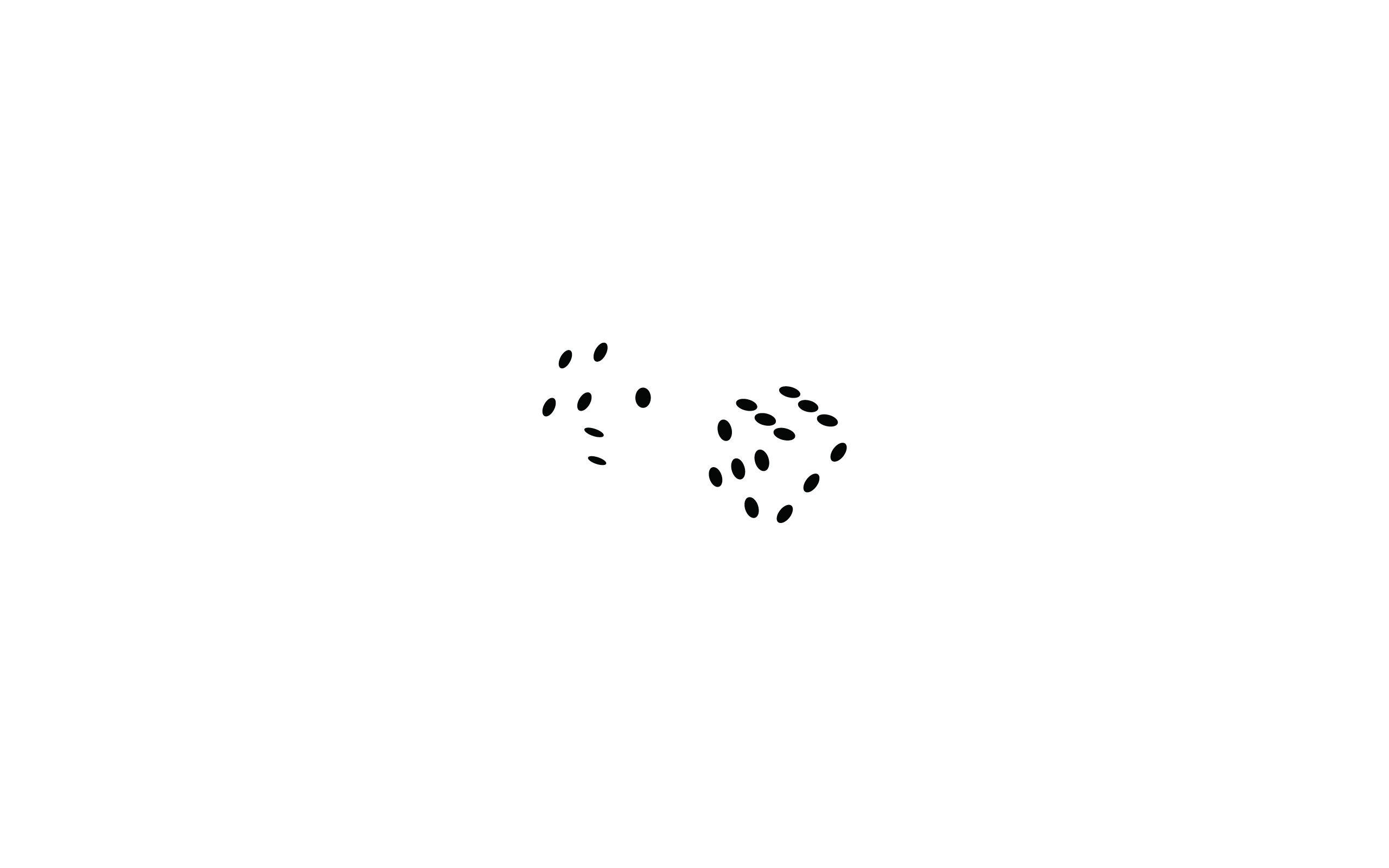 2560x1600 digital art, #minimalism, #simple, #simple background, #white