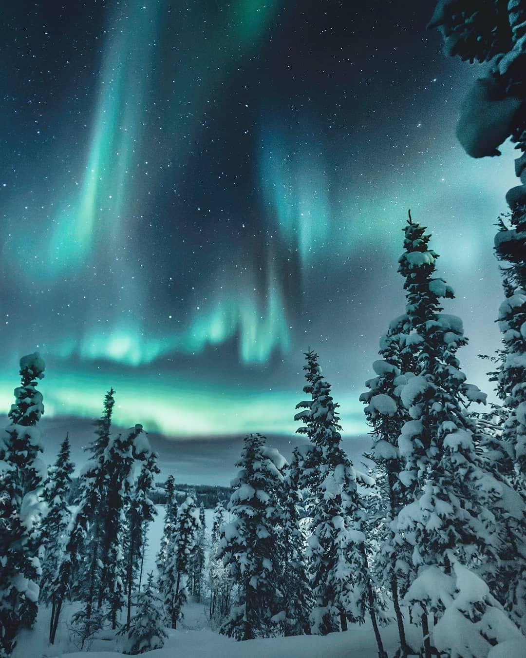 1080x1350 Fleeting moments ✨ Territories, Canada. See the northern lights, Northern lights photography, Northern lights
