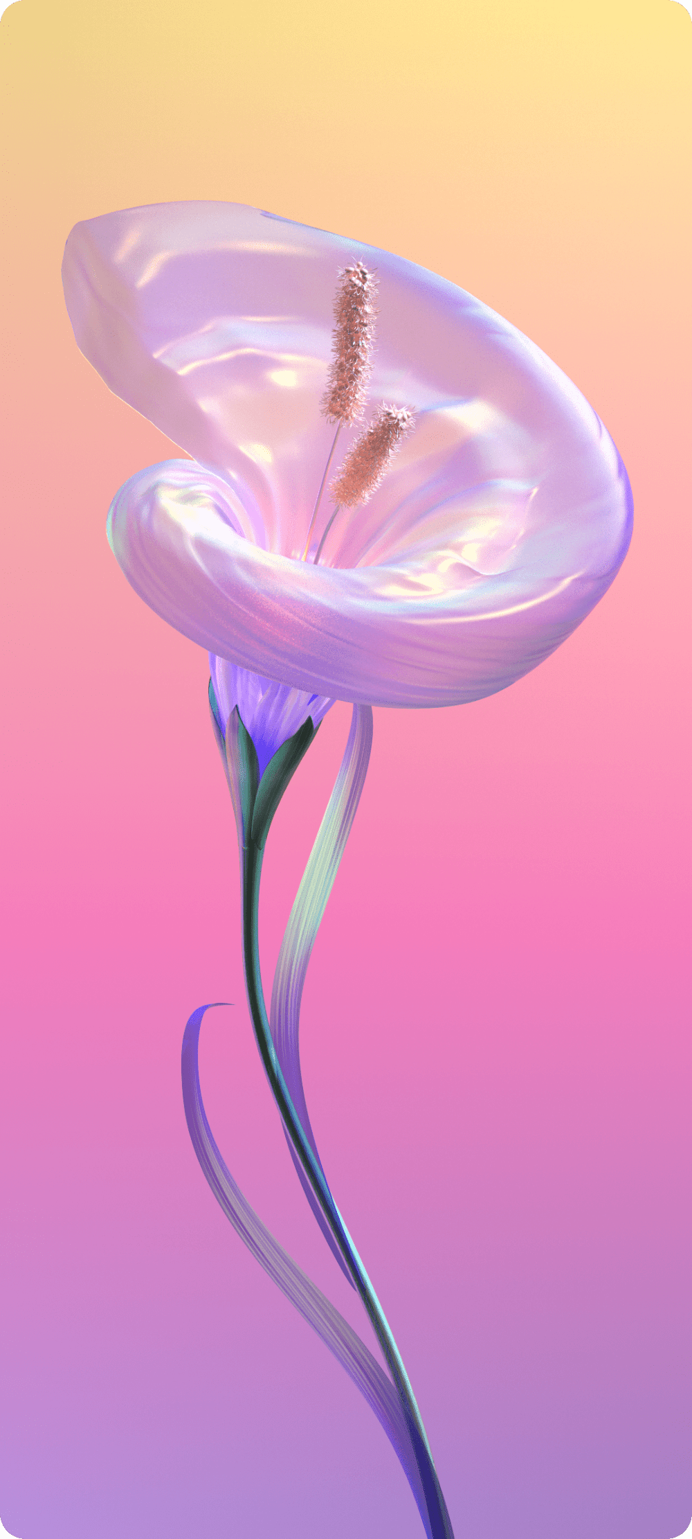 1000x2222 Vivo Live Wallpaper. Colourful Wallpaper Iphone, Android Wallpaper Minimalist, Bubbles Wallpaper