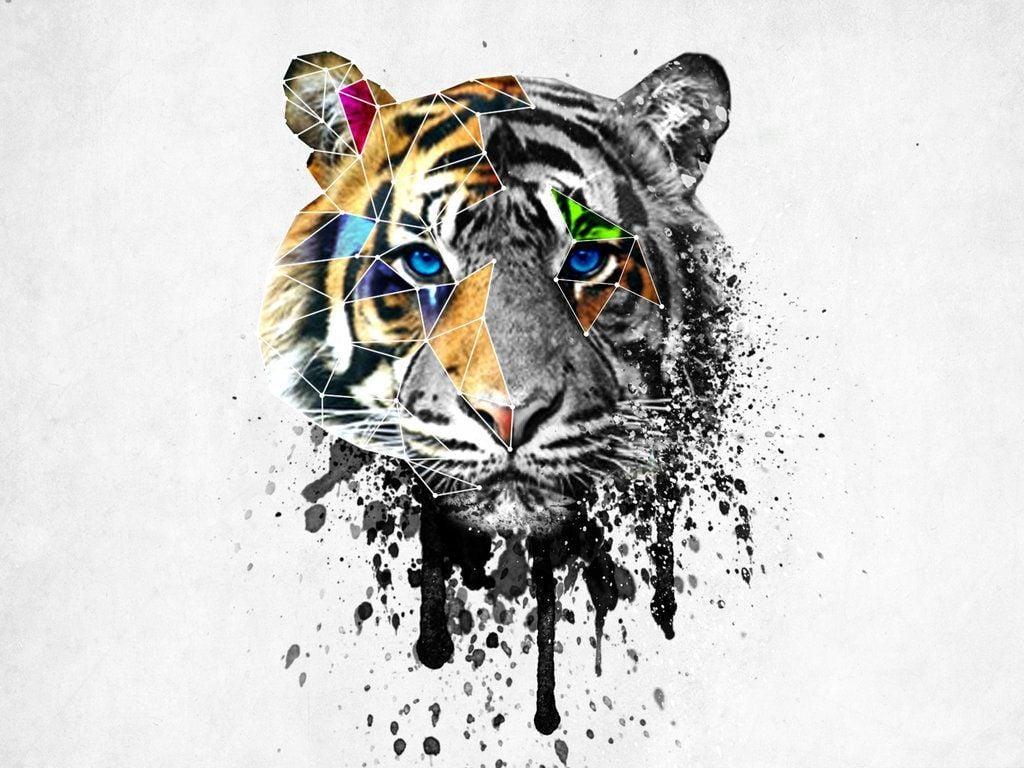 1024x768 Tiger Drawing Wallpaper