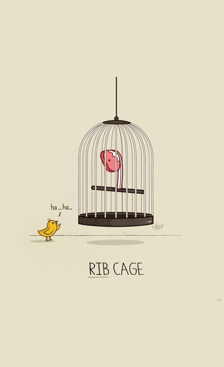 736x1202 Rib Cage. Funny wallpaper, Funny iphone wallpaper, Funny doodles