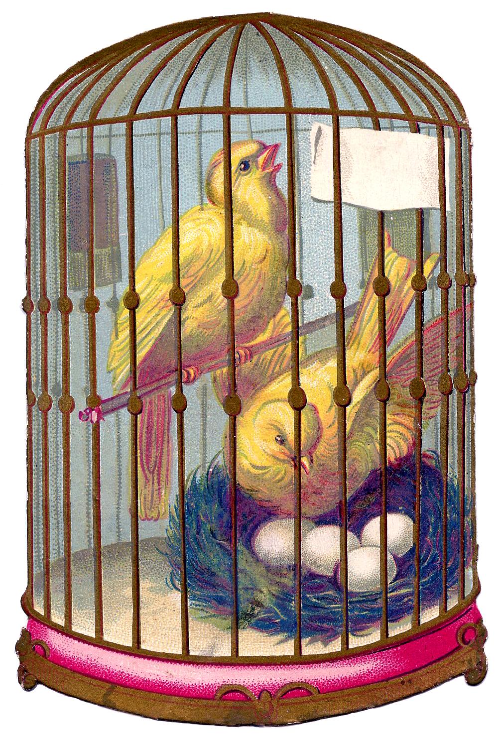 1008x1500 Bird Cage Scrap Picture! Graphics Fairy