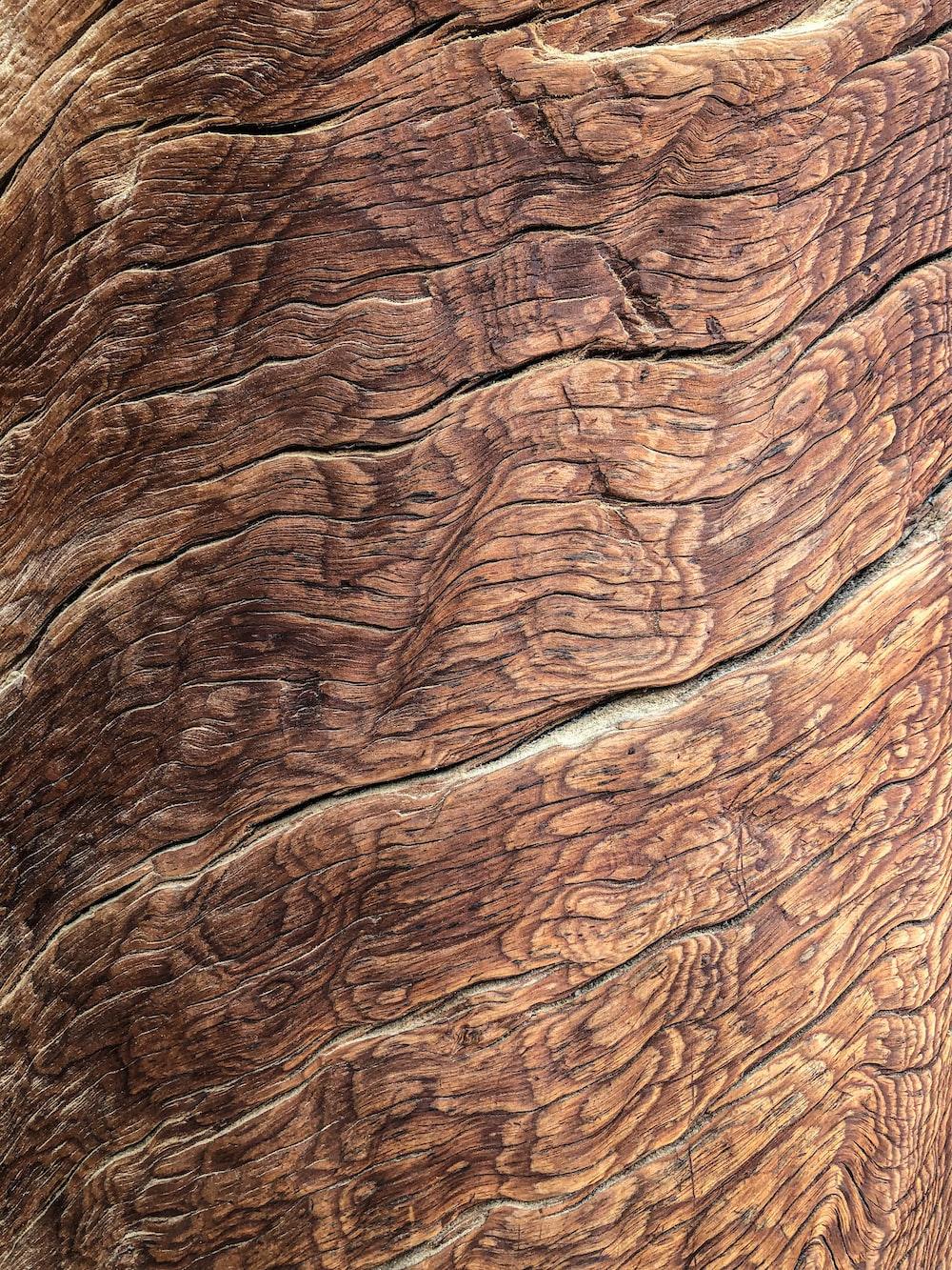 1000x1333 Old Wood Picture. Download Free Image