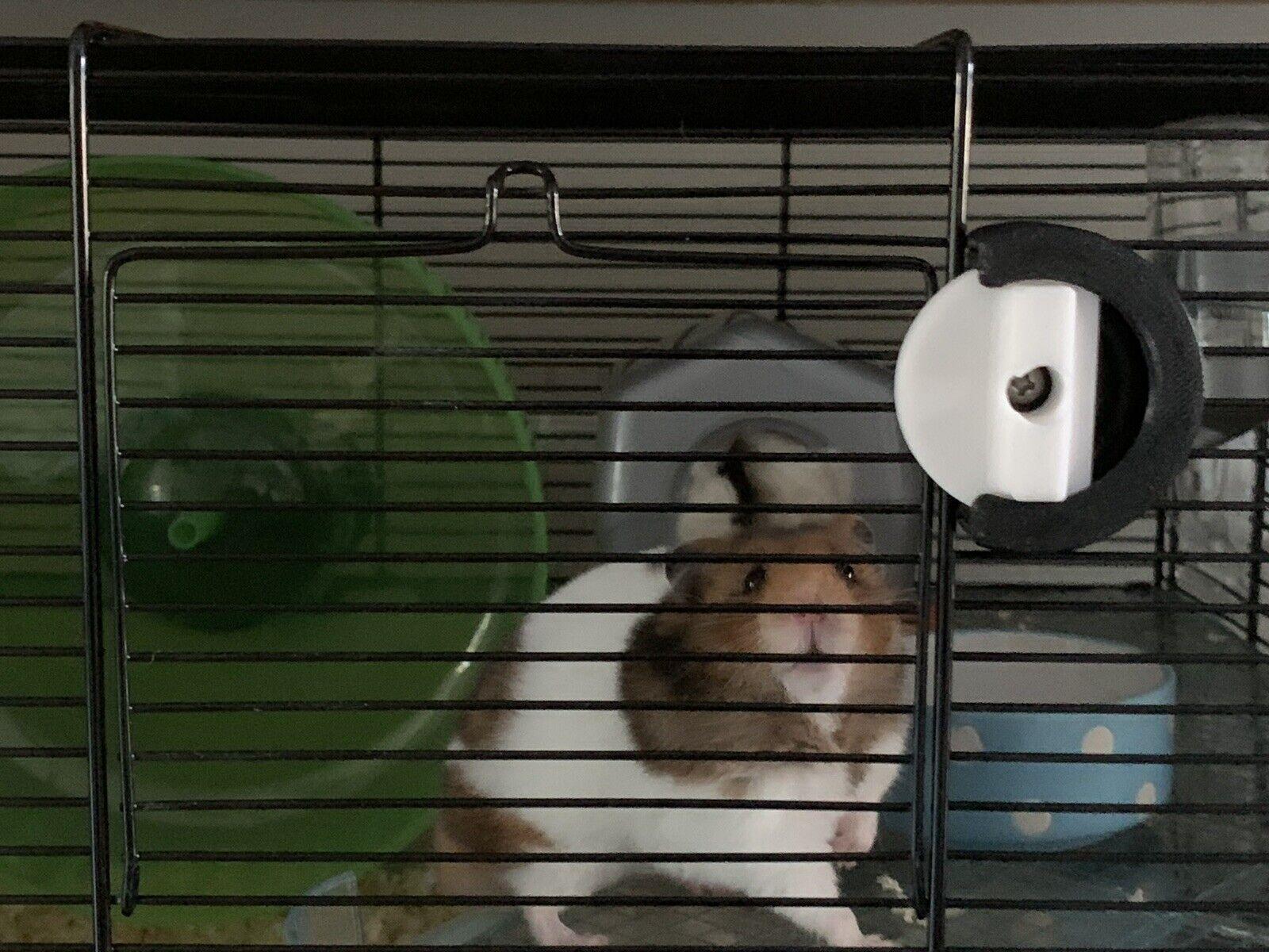 1600x1200 Spinning Small Pet Cage Lock, Hamster, Rat, Gerbil, Bird, Animal