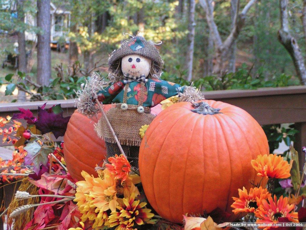 1024x768 Autumn Scarecrow Wallpaper