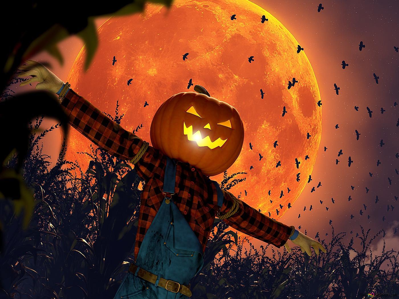 1400x1050 Pumpkin scarecrow HD wallpaper download