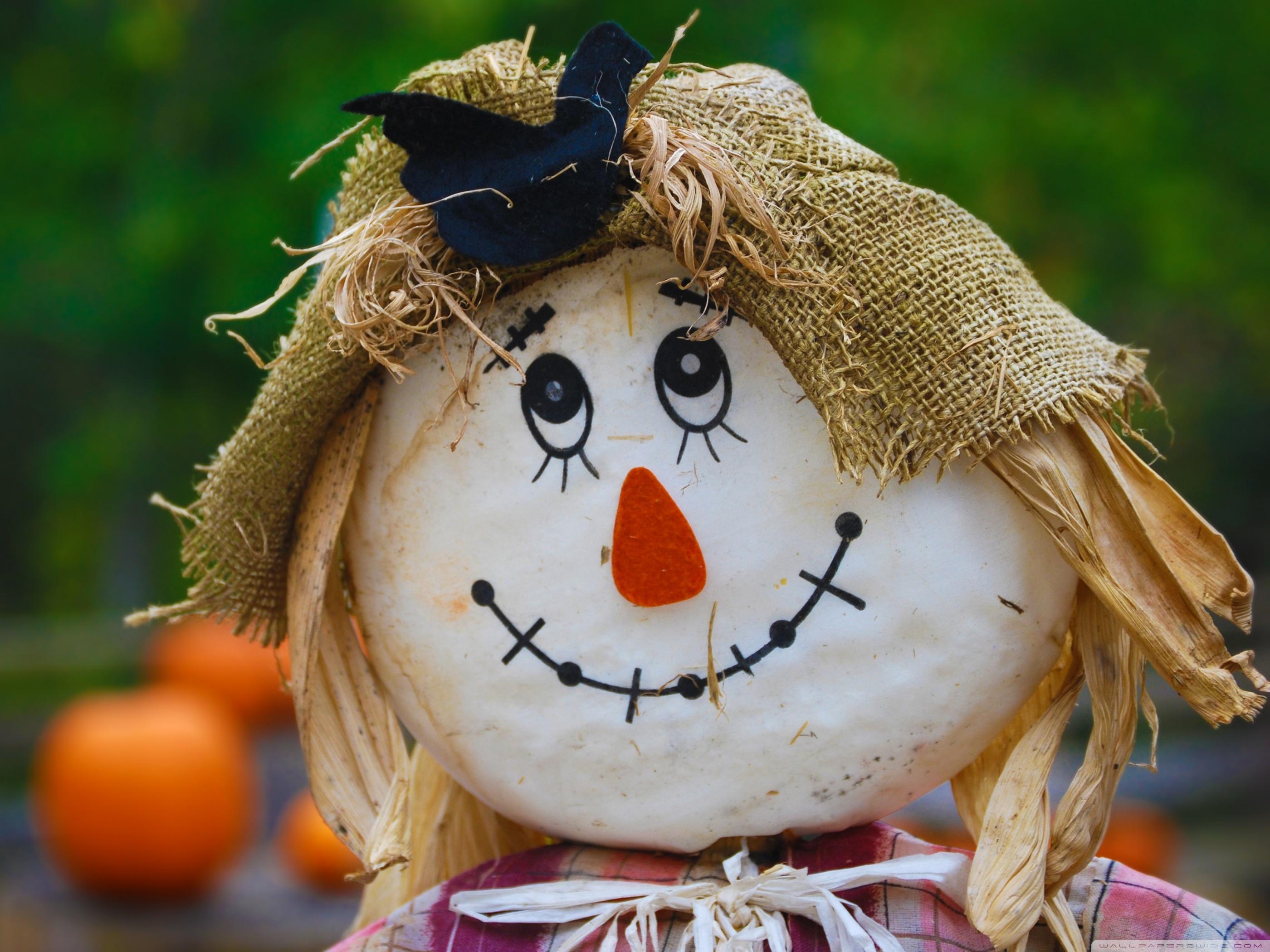 2800x2100 Scarecrow Wallpaper and Background 4K, HD, Dual Screen