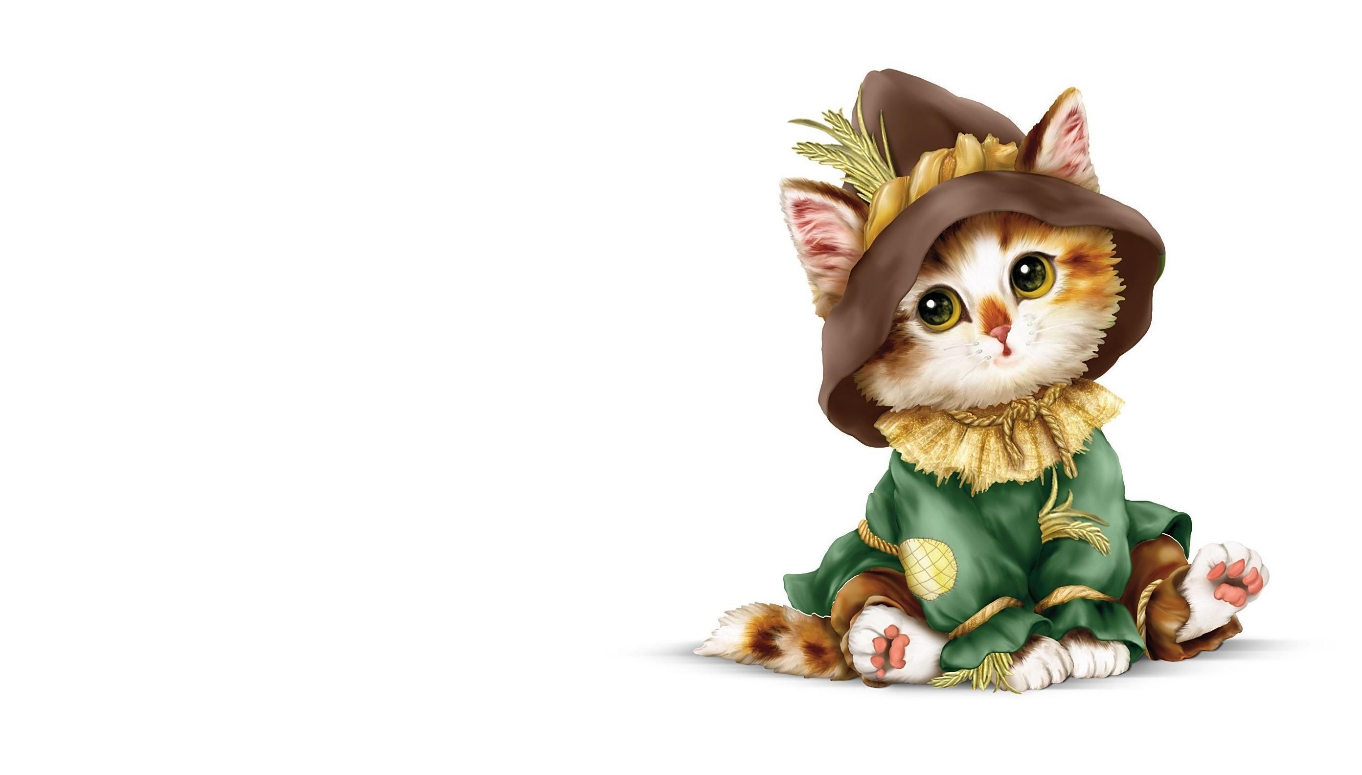 2784x1584 Scarecrow Kitten