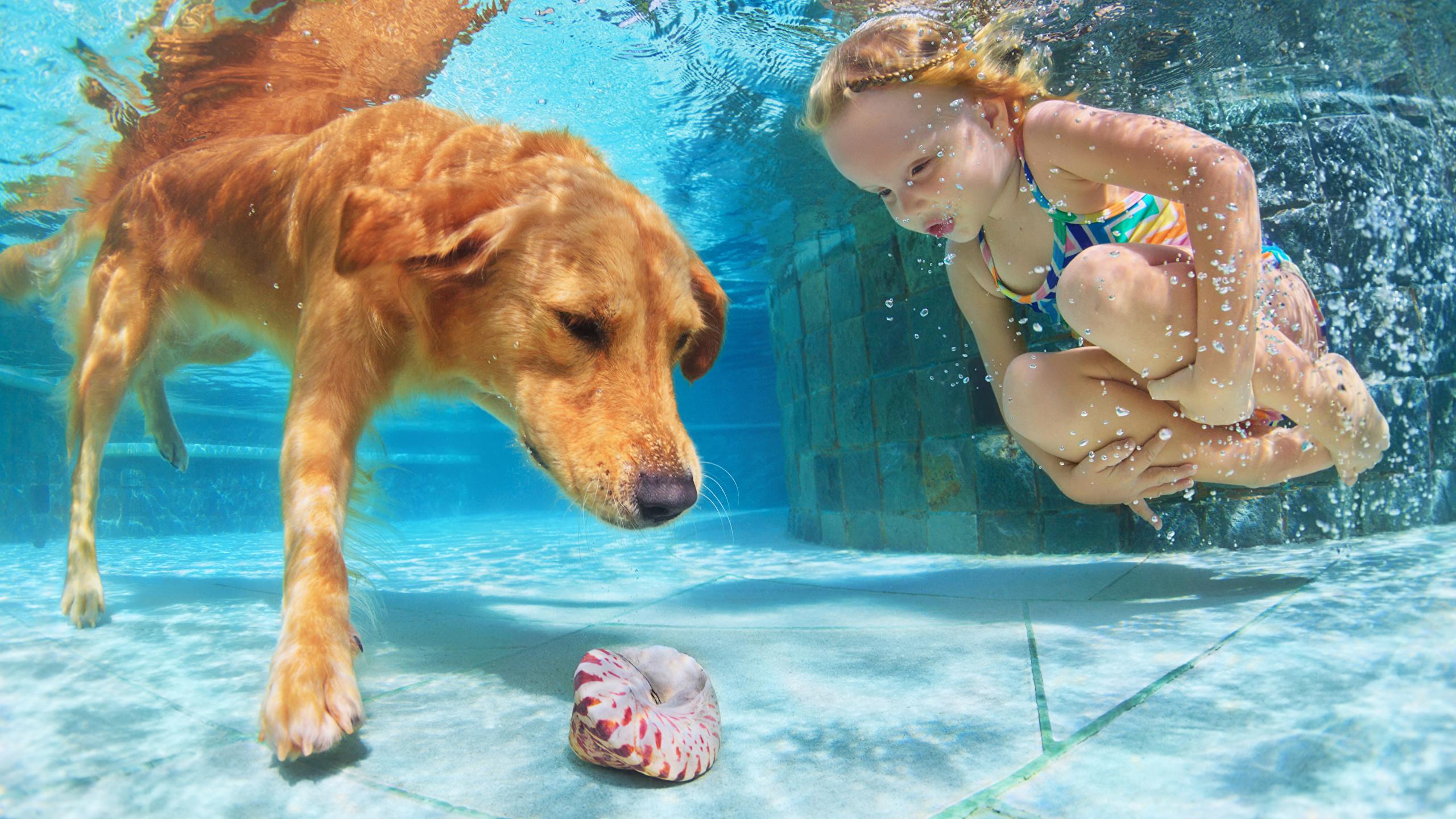 2560x1440 Photo Animals Little girls Dogs Underwater world Pools 2560x1440