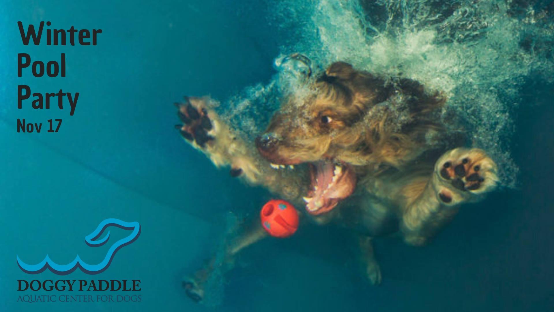 1920x1080 November Pool Party with Real Dog Moms of Chicago