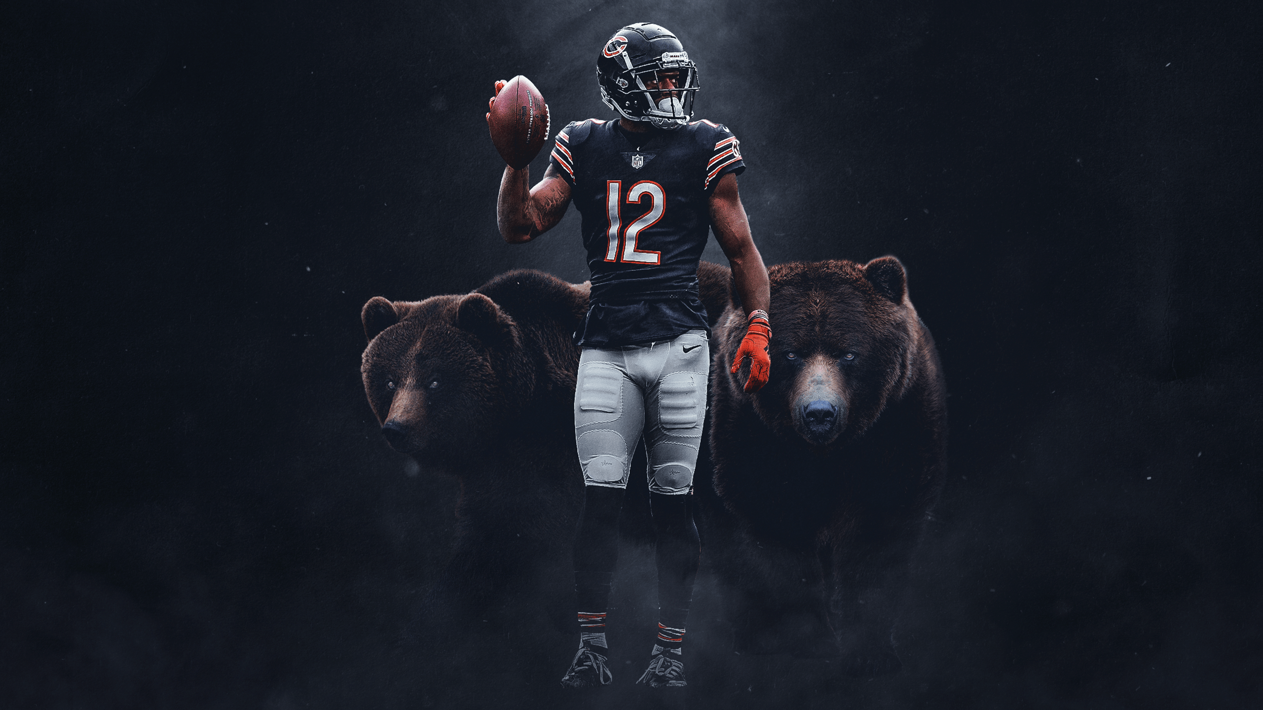 2560x1440 Football Chicago Bears Background Image and Wallpaper
