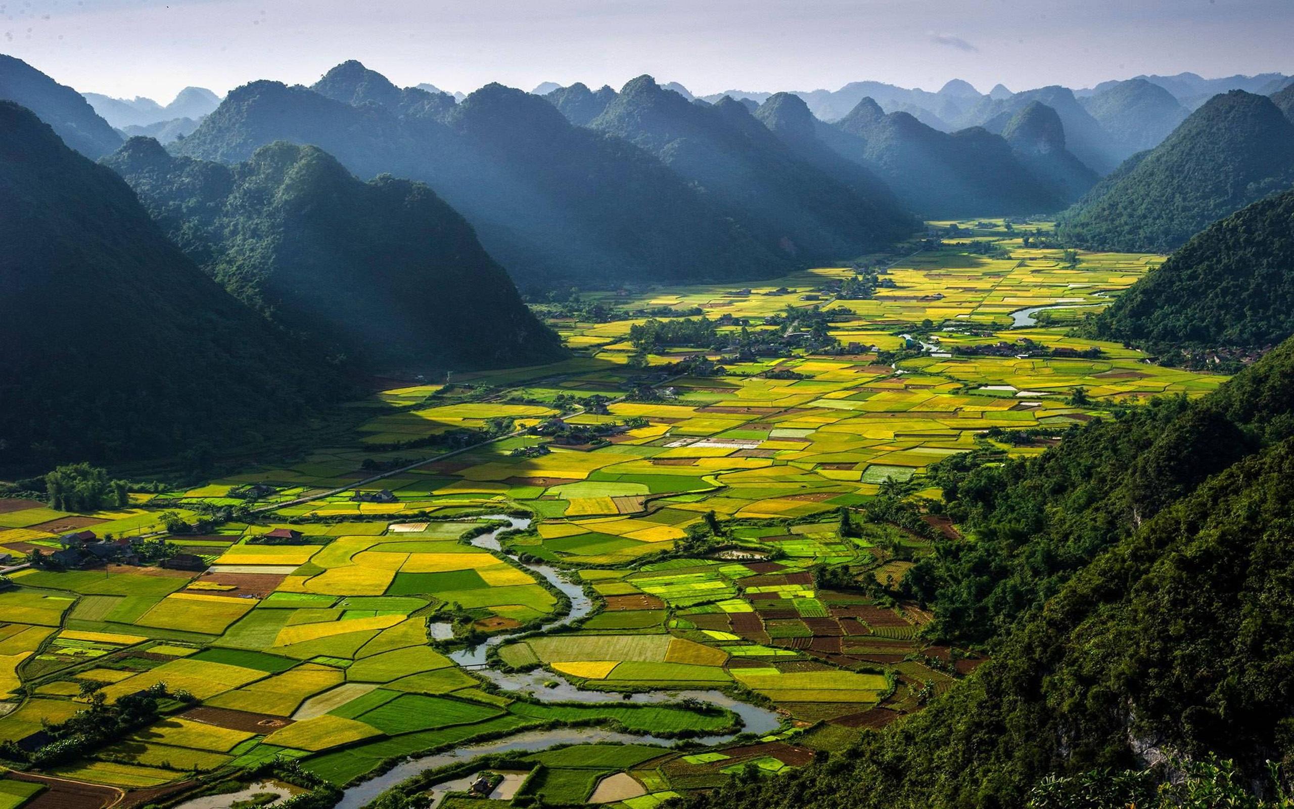 2560x1600 Pauline Landscape Rice Vietnam Desktop Wallpaper HD 2560x1600 :