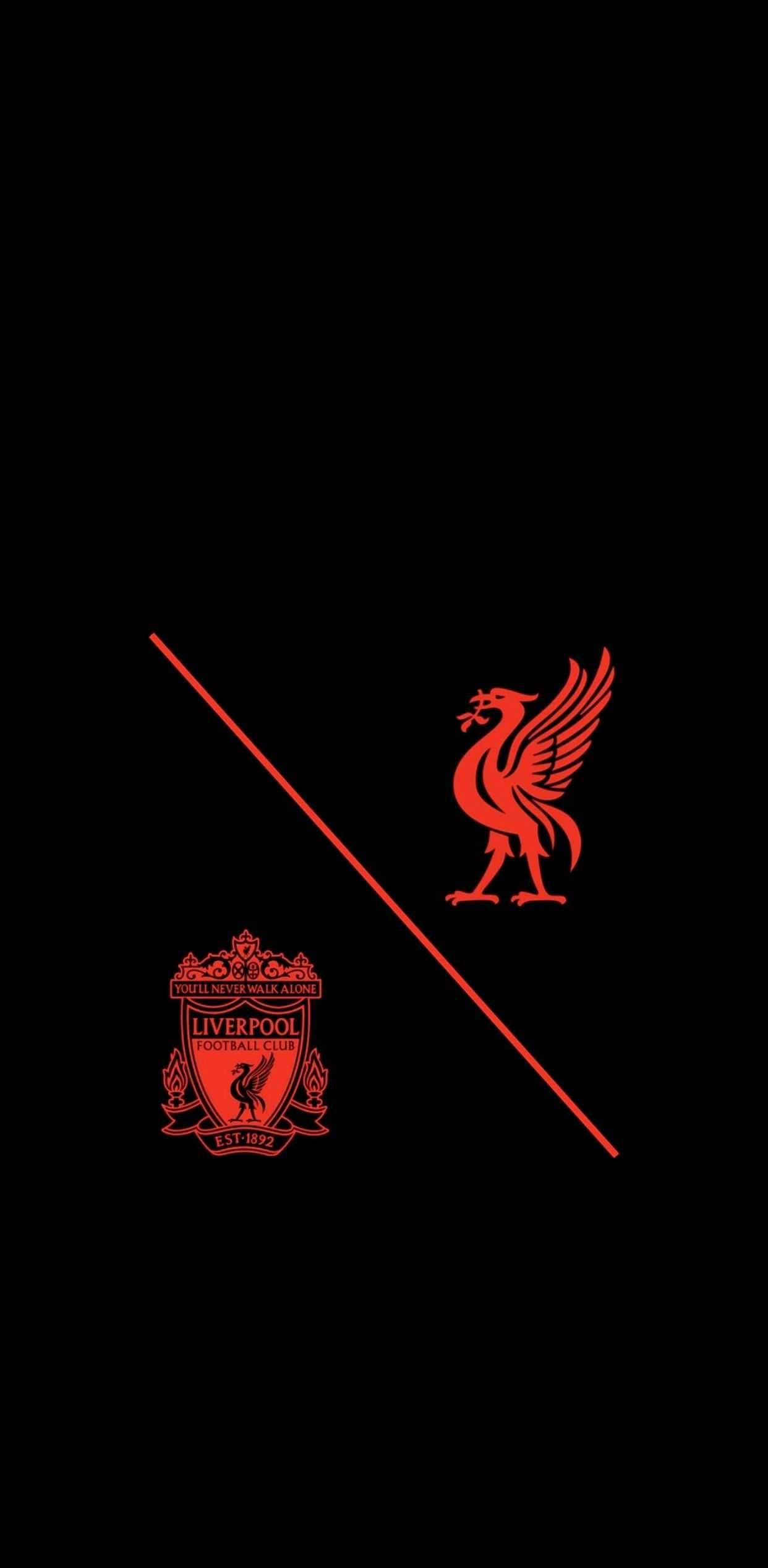 1242x2534 WallPaper