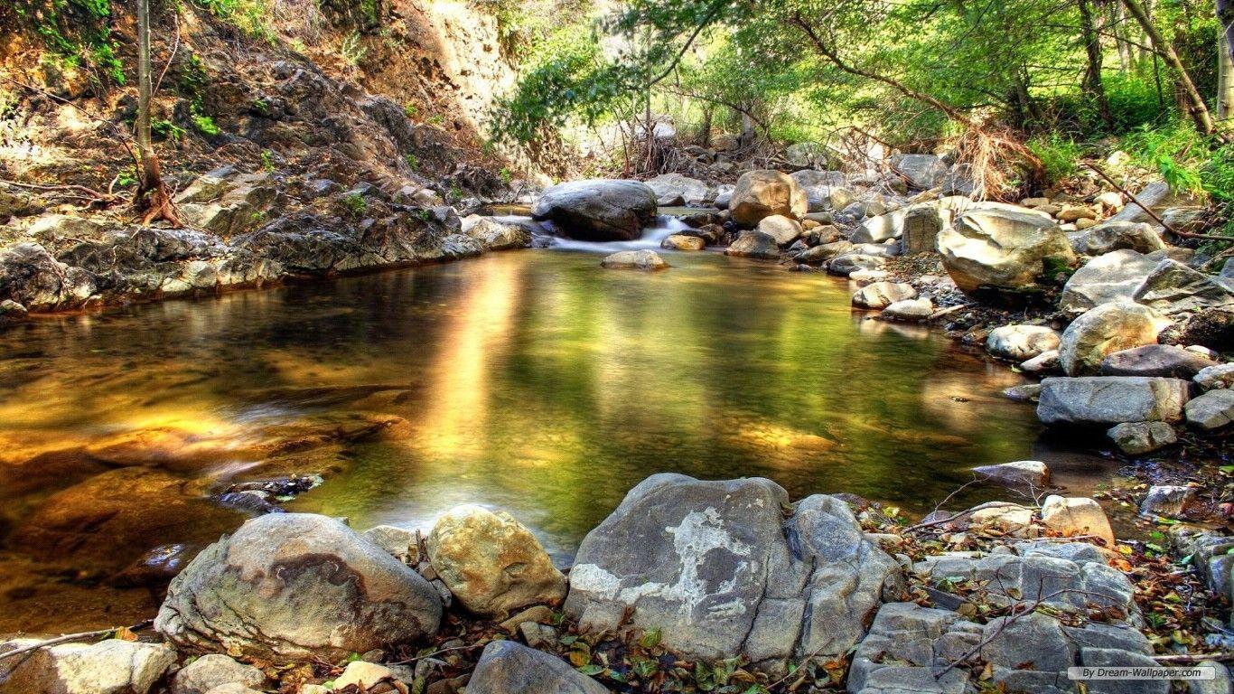 1366x768 Nature Wallpaper 1366x768