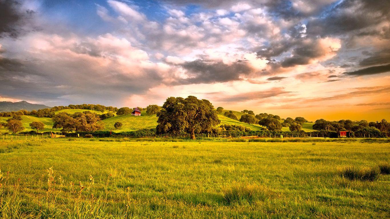 1366x768 Green Nature Wallpaper 1366x768 Wallpaper
