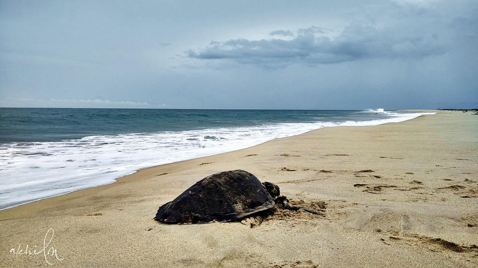 1600x900 Dhanushkodi- Exploring the tail of India!