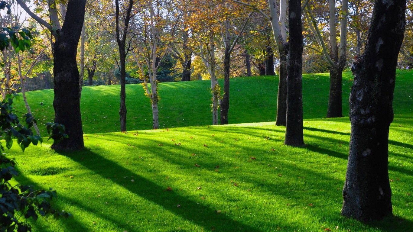 1366x768 Real Wallpaper Of Nature