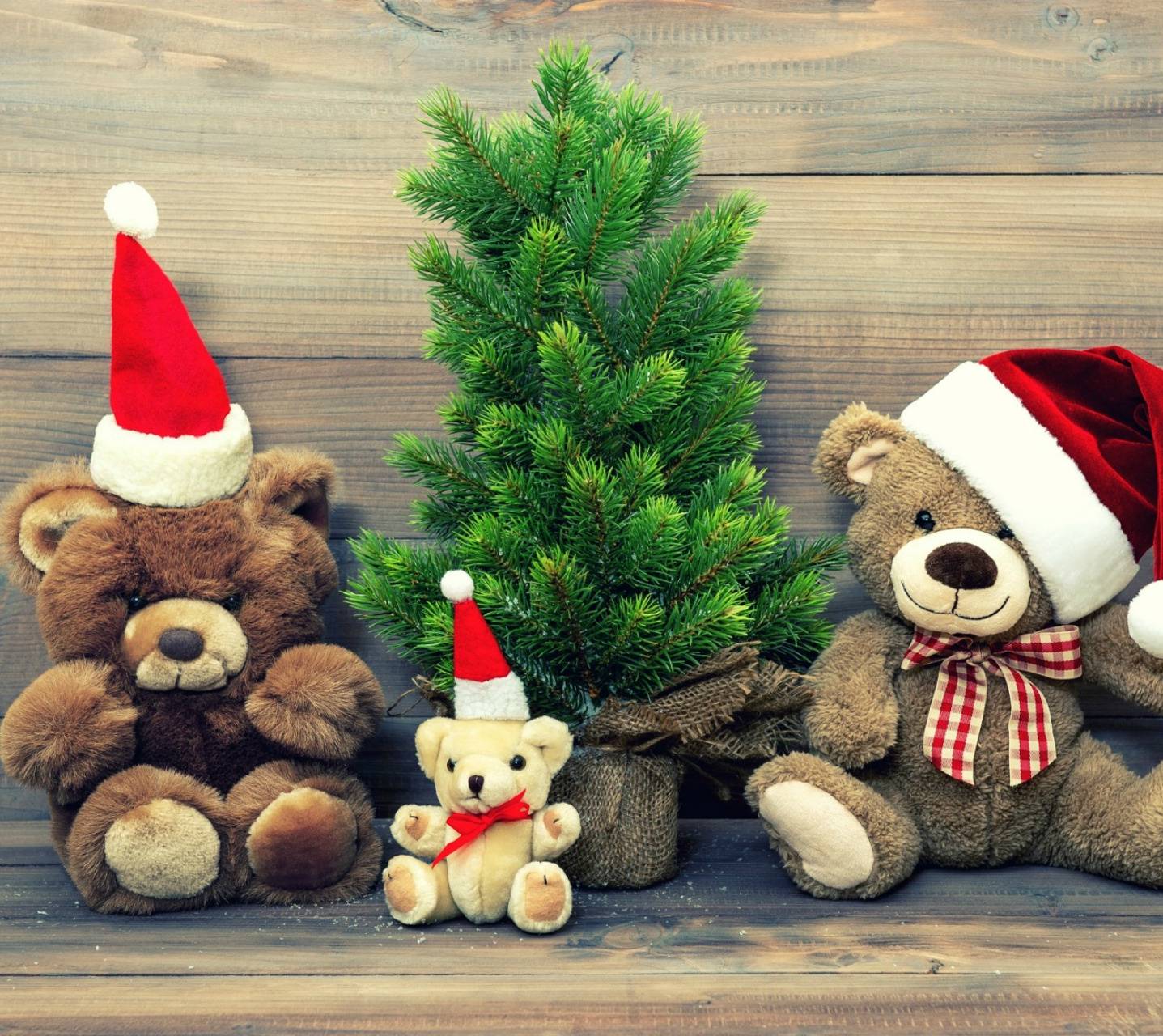 1437x1280 Teddy Bears Wallpaper
