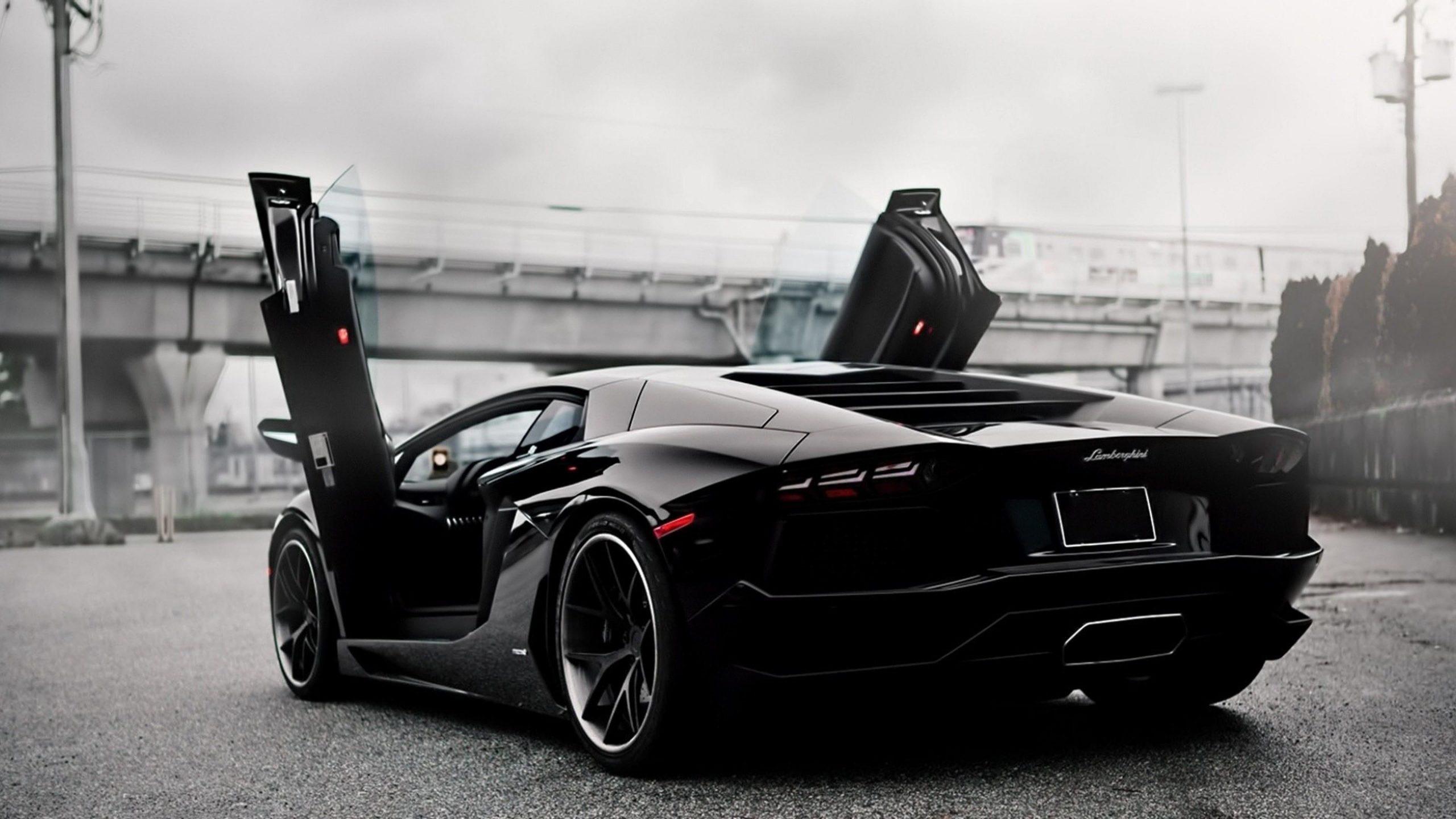 2560x1440 Dream Car, Lamborghini, Aventador, Black Wallpaper