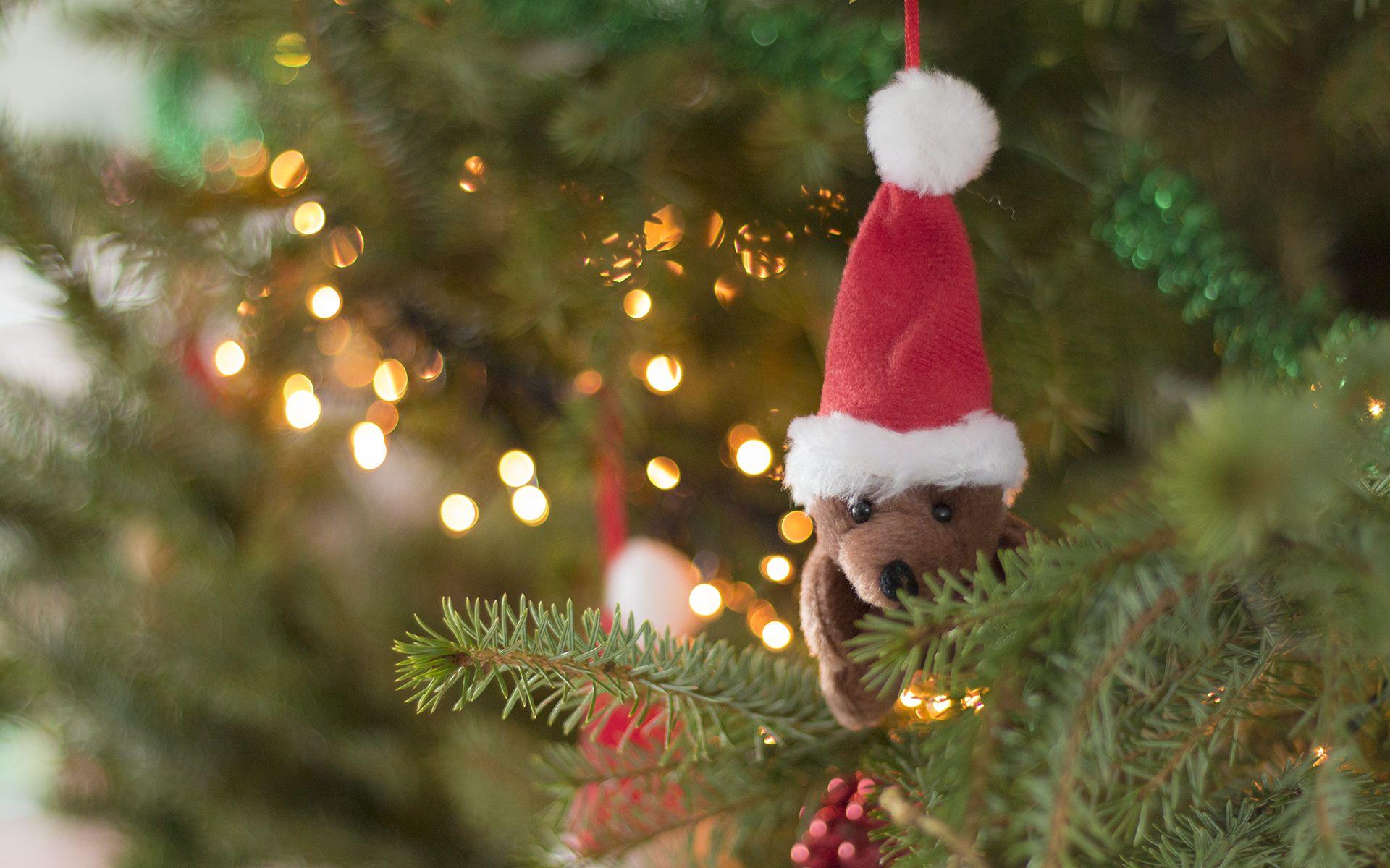 1920x1200 Christmas Teddy bear Wallpaper