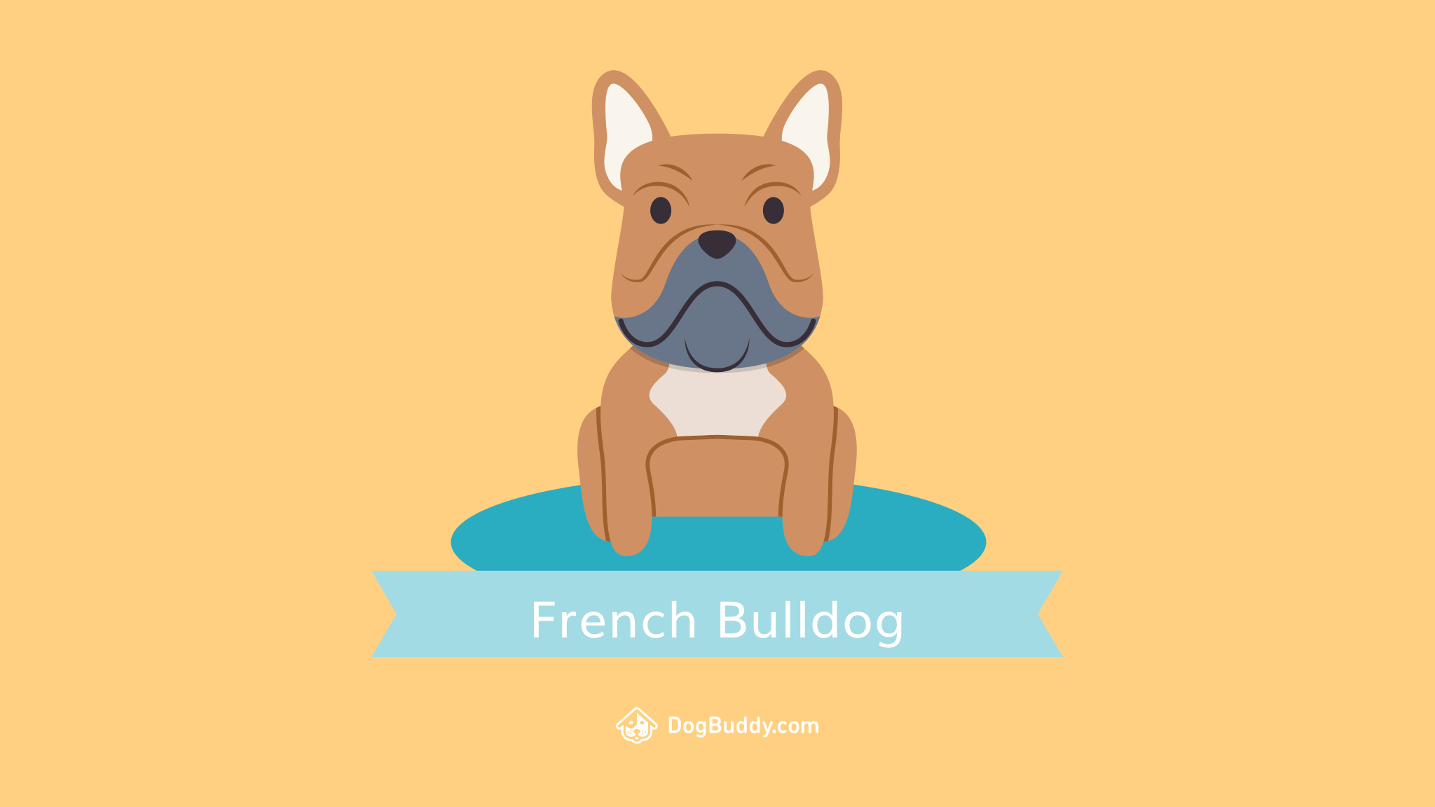 2048x1152 Woofpaper: French Bulldog