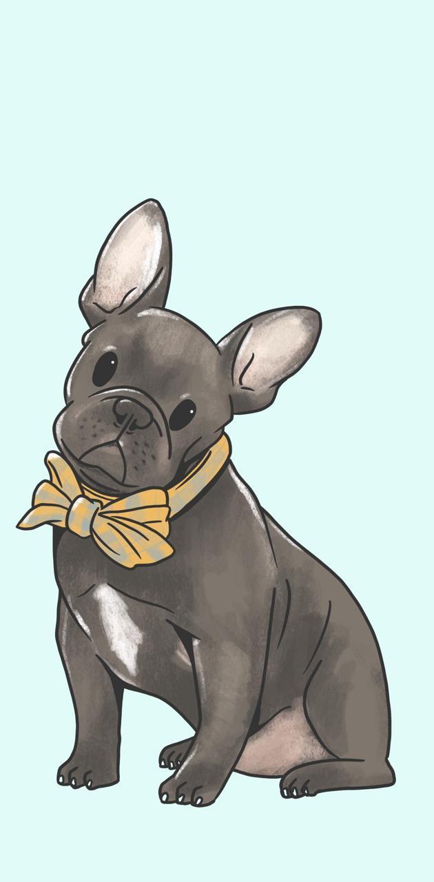 630x1280 French bulldog wallpaper