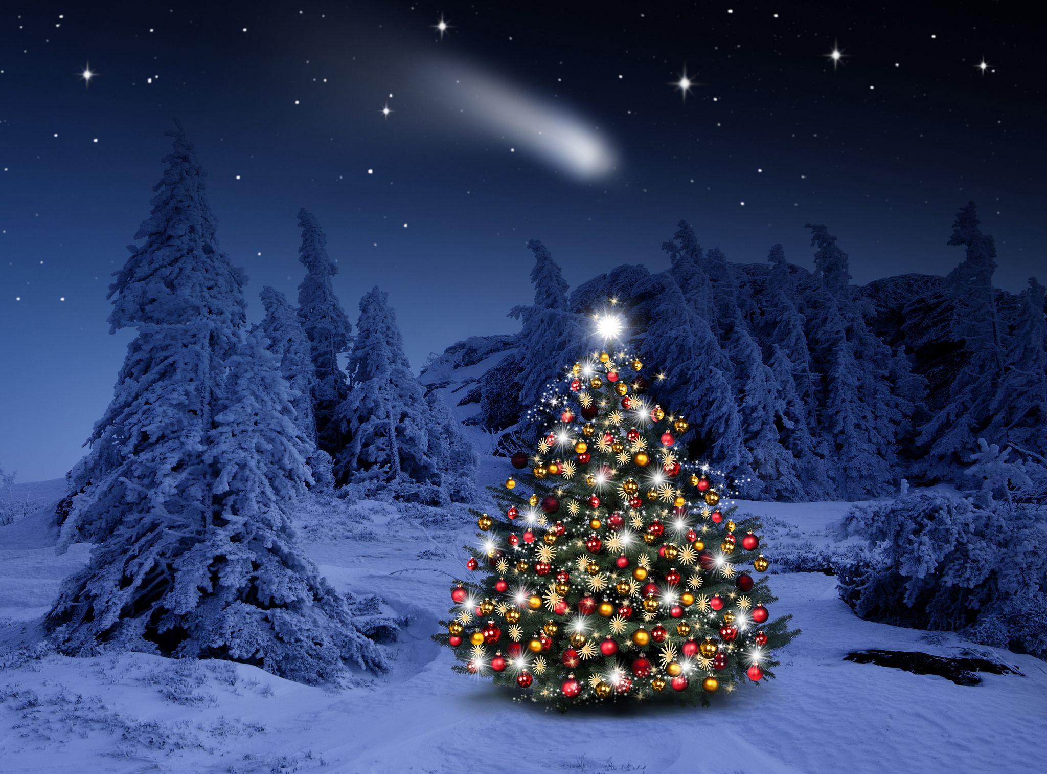 2048x1513 Lighted Christmas Tree Wallpaper