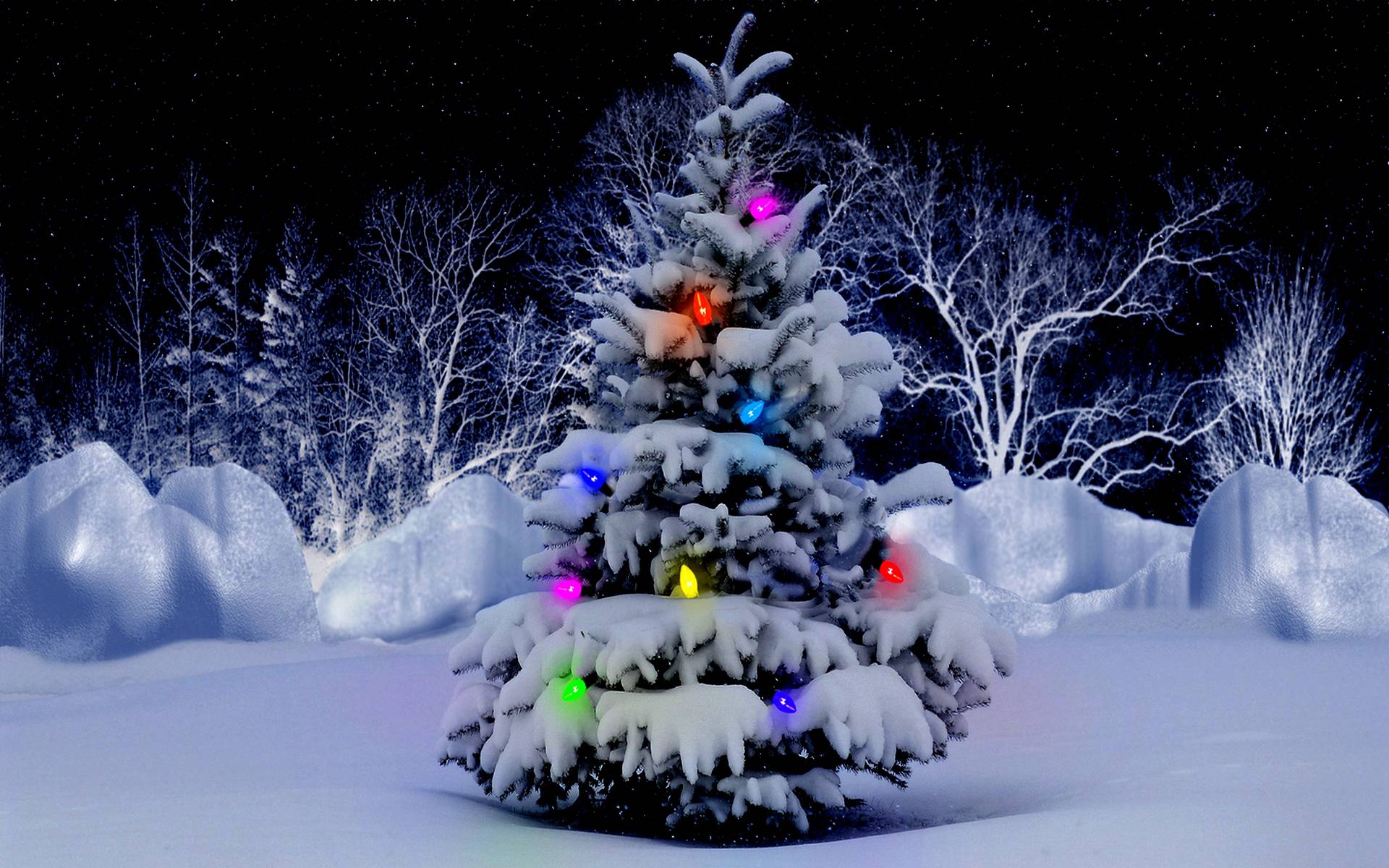 1920x1200 Christmas Tree Wallpaper HD download full