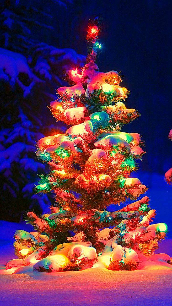720x1280 Snowy Christmas Tree IPhone Wallpaper Wallpaper : iPhone Wallpaper
