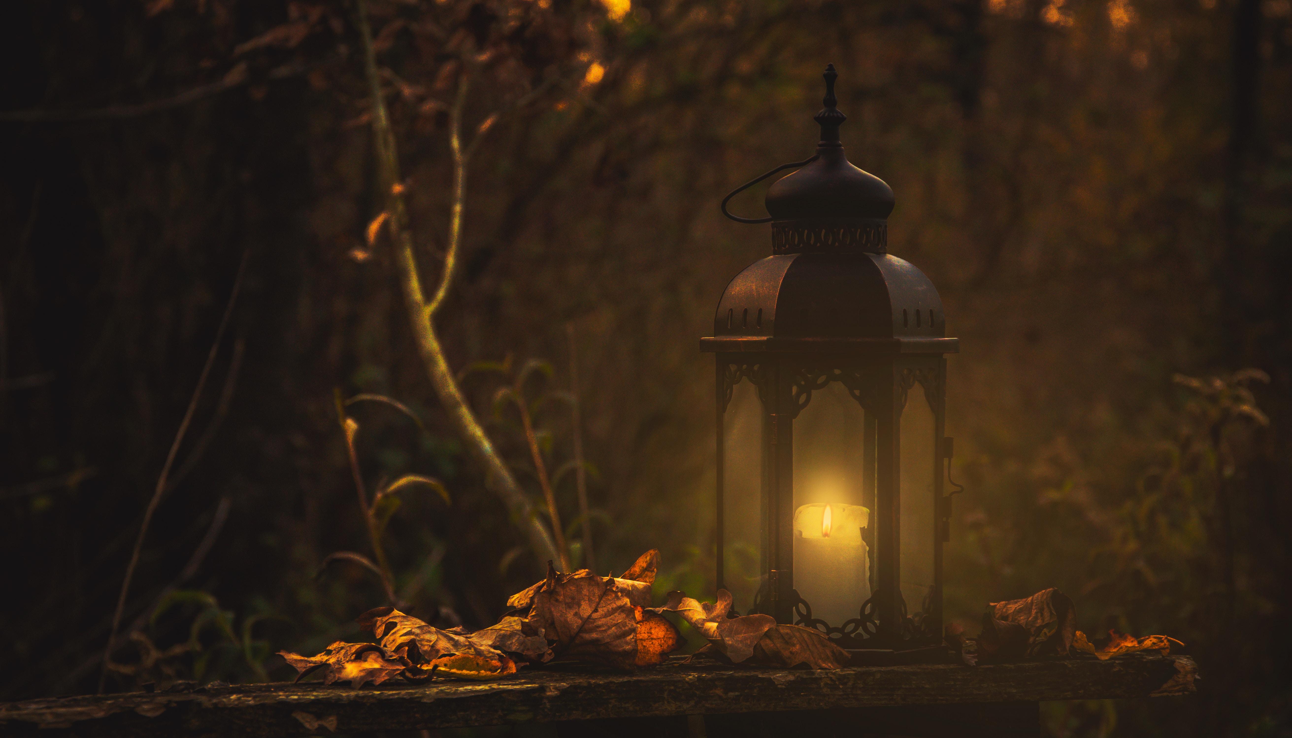 5246x2995 Free image, background, lantern, tree, fall, leaves, light, mysteriou, warm, autumn, candle, woodland, decor, art, beautiful, flame, forest, glow, gothic, garden, HD Wallpaper