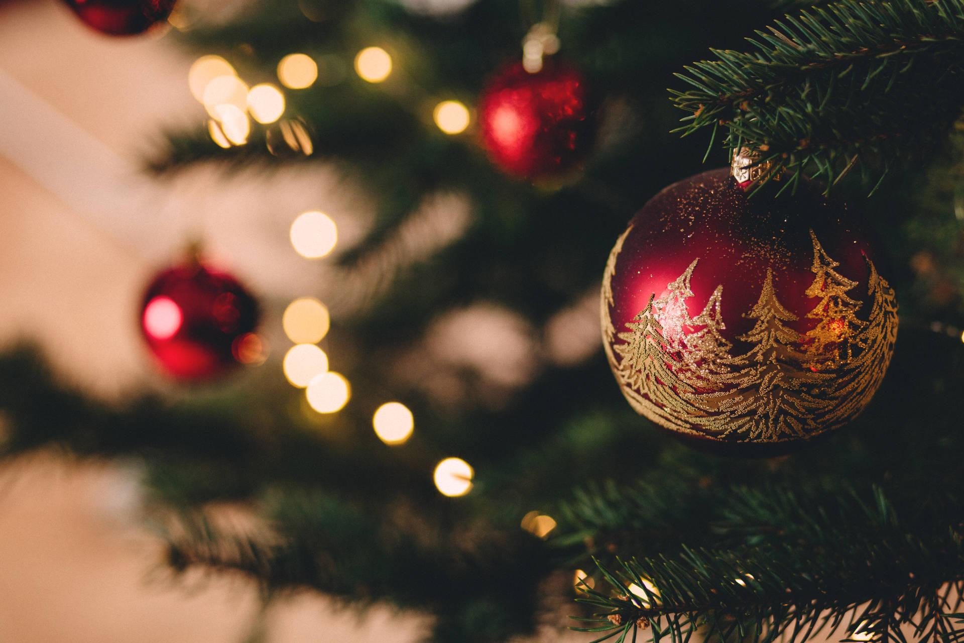 1920x1280 Free Christmas Tree Wallpaper Downloads, Christmas Tree Wallpaper for FREE