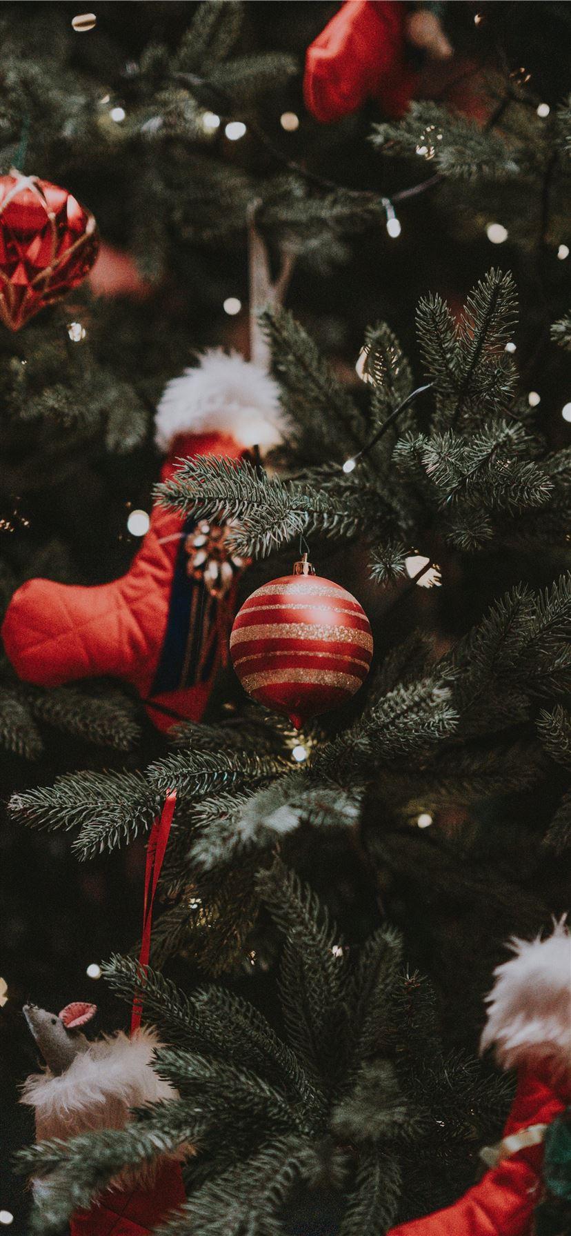 828x1792 Best Christmas tree iPhone 11 HD Wallpaper