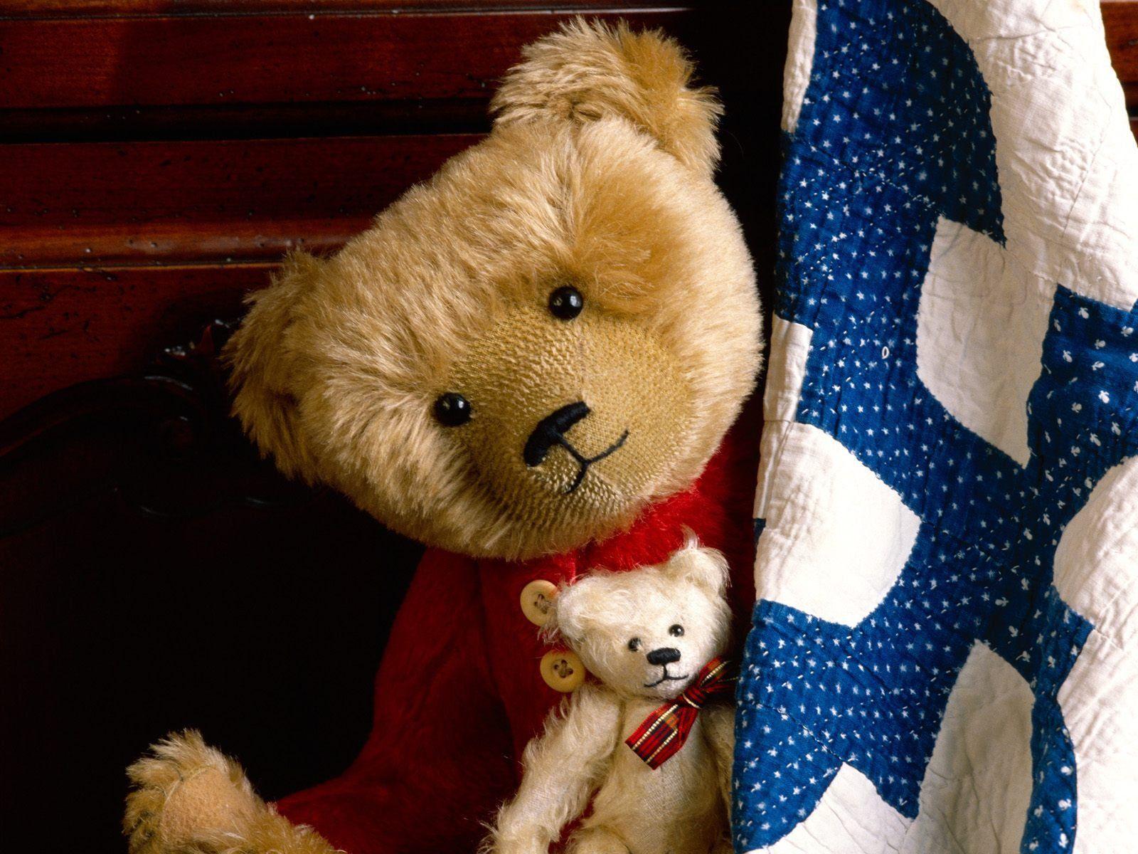 1600x1200 Teddy Bear Wallpaper