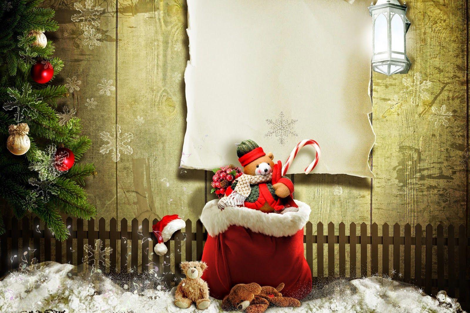 1600x1067 Smart Looking Teddy Bear Wallpaper Life Quotes. HD Wallpaper