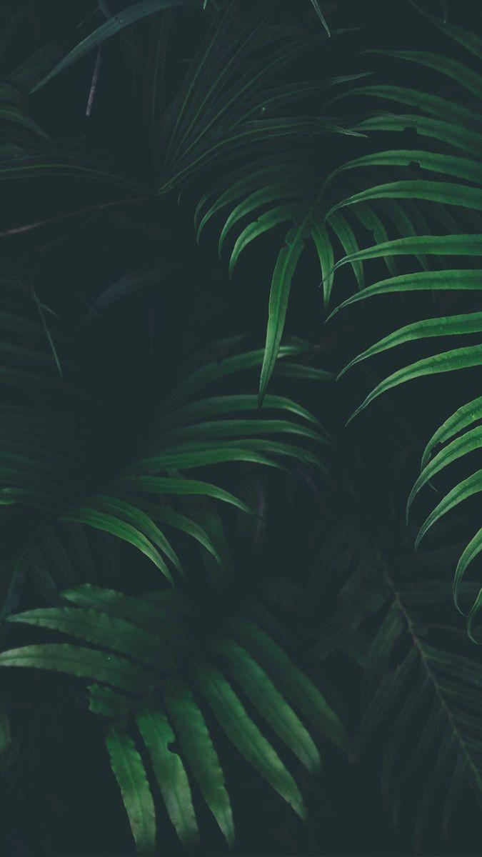 675x1200 Wallpaper That Will Look Perfect On Your iPhone