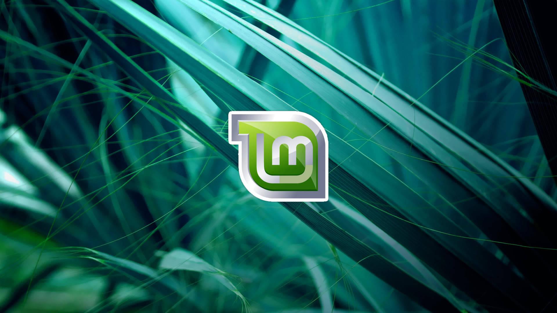 1920x1080 Download Operating System Linux Mint Logo On Plant Leaves Wallpaper