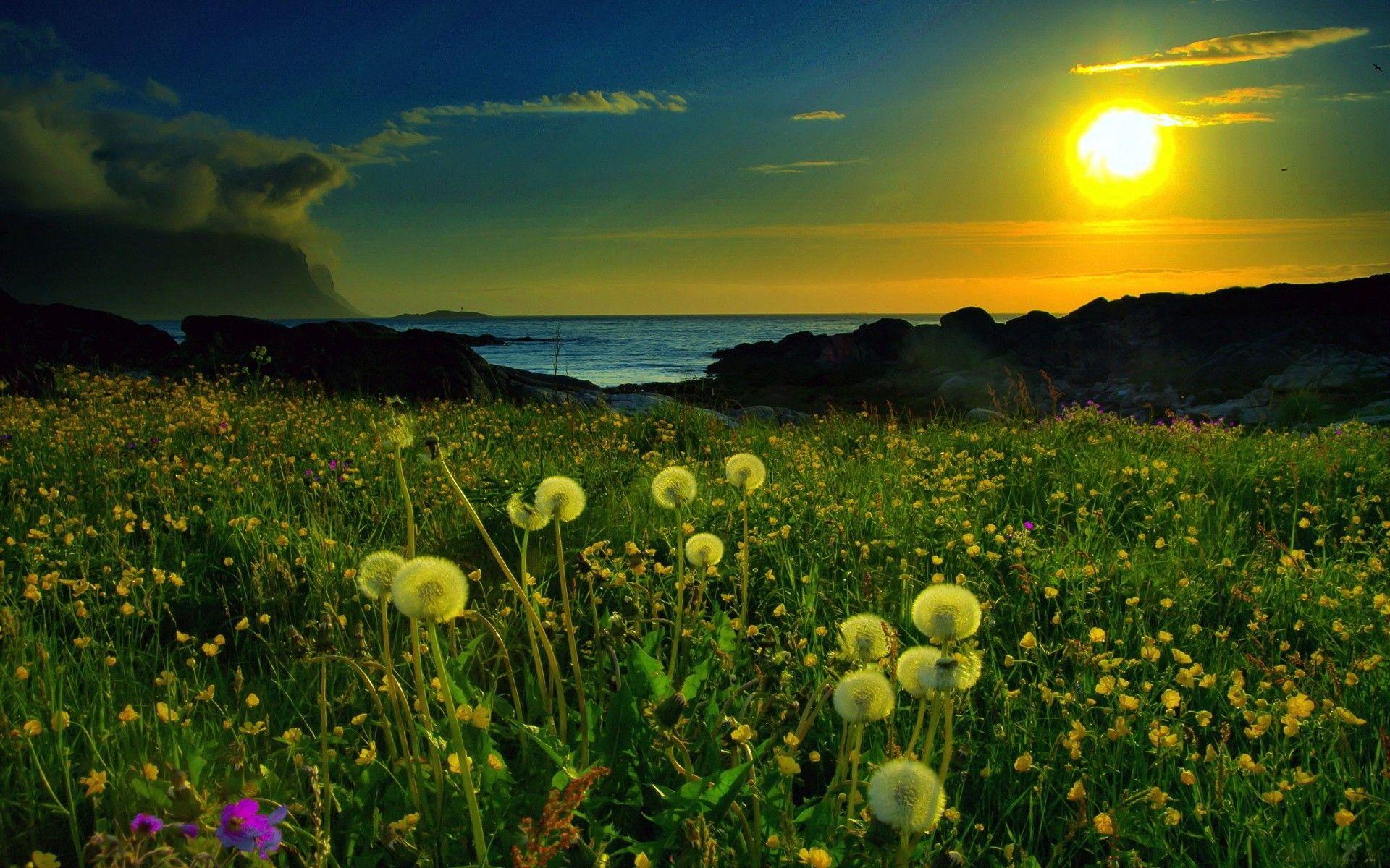 1920x1200 Hình nền thiên nhiên cho máy tính để bàn