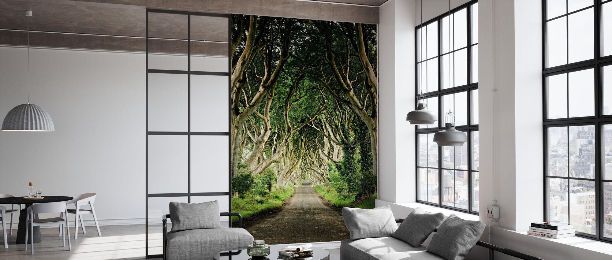 2000x850 The Dark Hedges