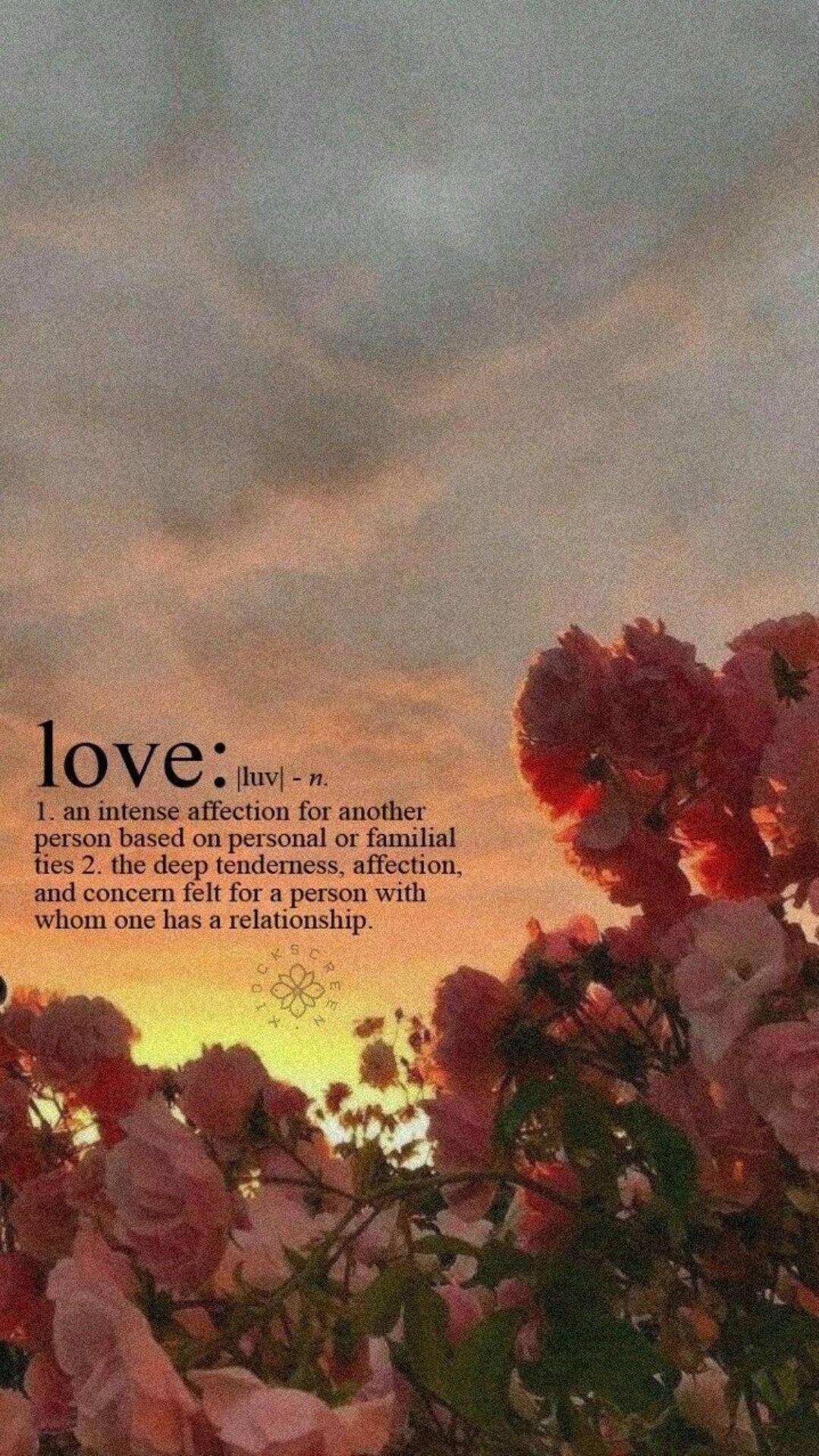1080x1920 Download Love Aesthetic Definition Wallpaper