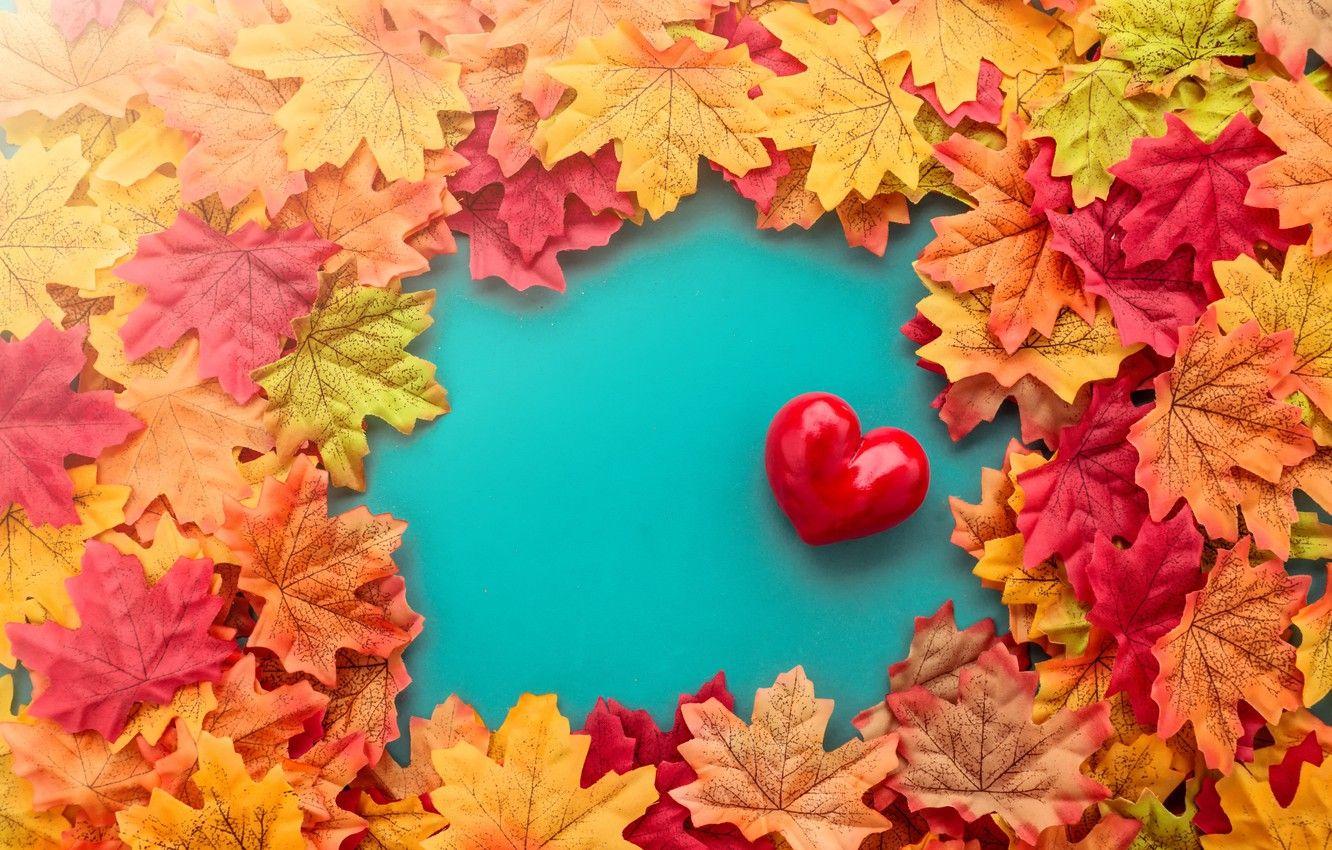 Fall Heart Wallpapers - Top Free Fall Heart Backgrounds - WallpaperAccess