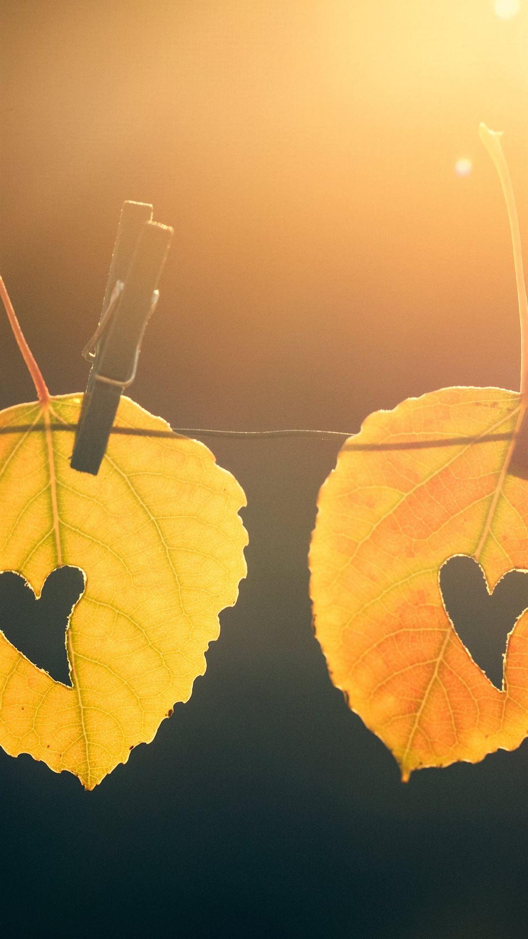 Fall Heart Wallpapers - Top Free Fall Heart Backgrounds - WallpaperAccess